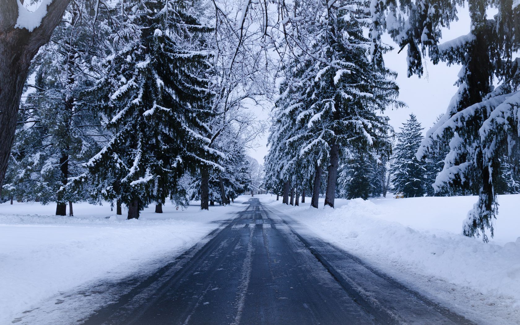 Download wallpaper 1680x1050 winter, road, snow, trees, winter landscape widescreen 16:10 HD background