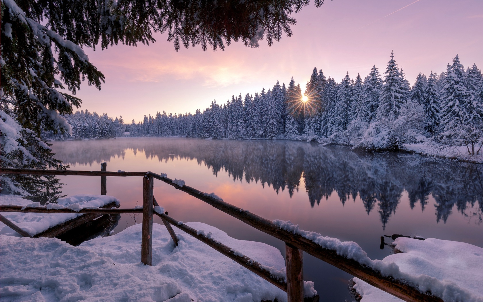 Winter Snow Trees Nature Outdoors 1680x1050 Resolution HD 4k Wallpaper, Image, Background, Photo and Picture