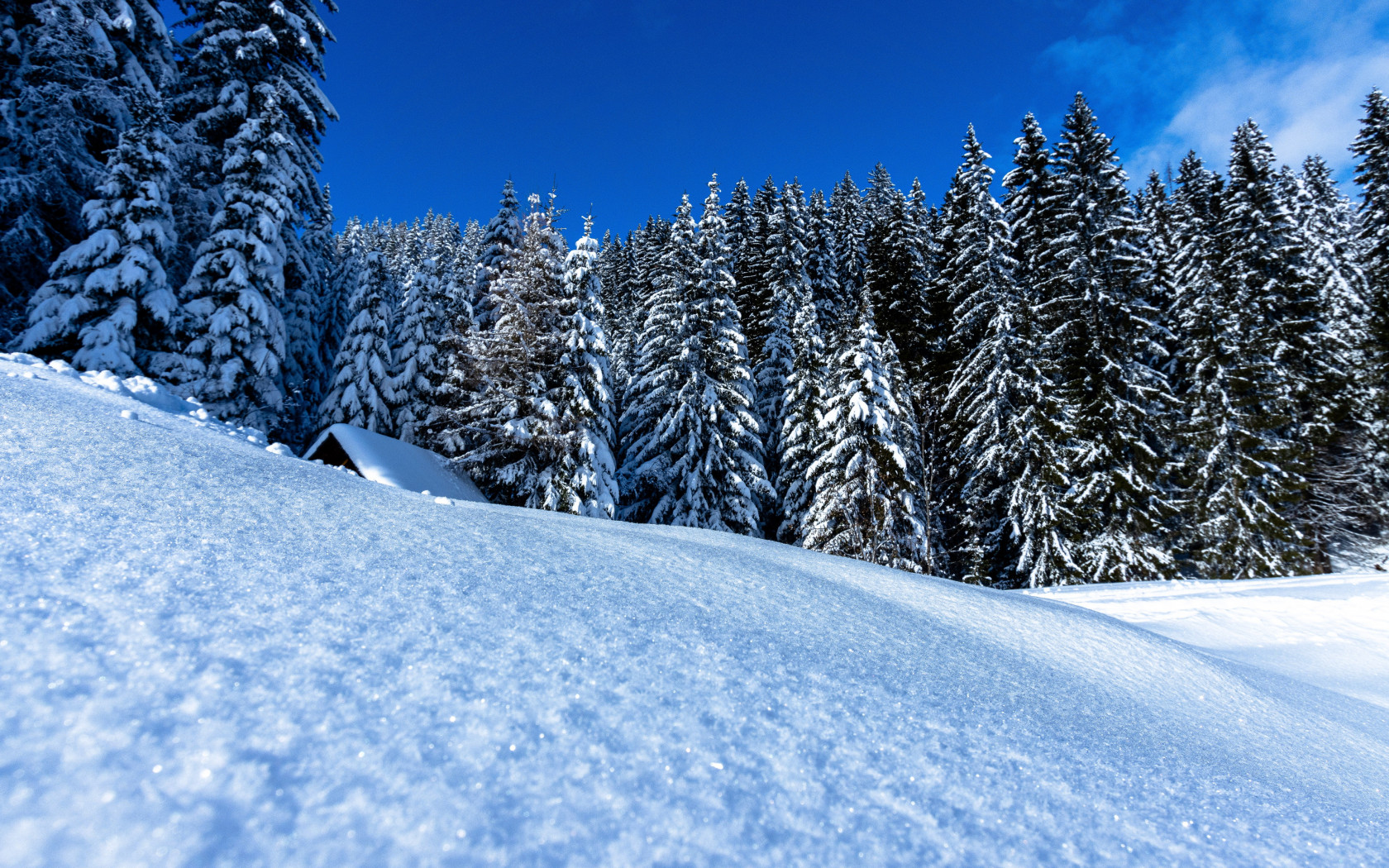 Download wallpaper: Winter landscape full of snow 1680x1050