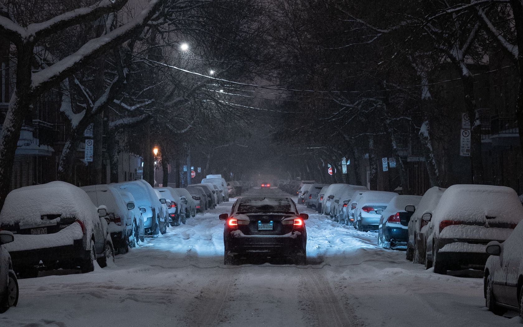 Download wallpaper 1680x1050 winter, street, car, movement, night, branches, trees widescreen 16:10 HD background