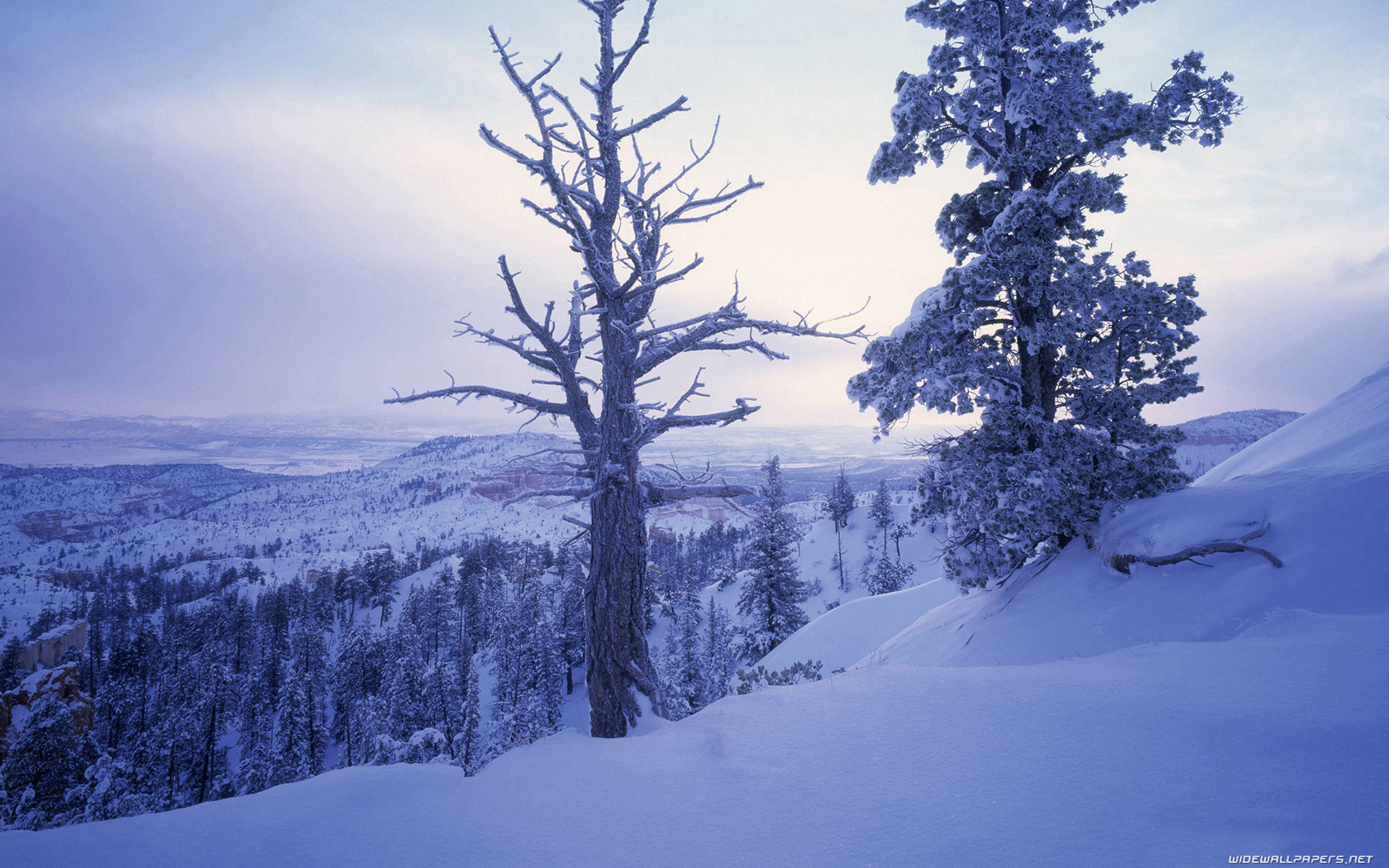 Winter desktop wallpaper HD and wide wallpaper