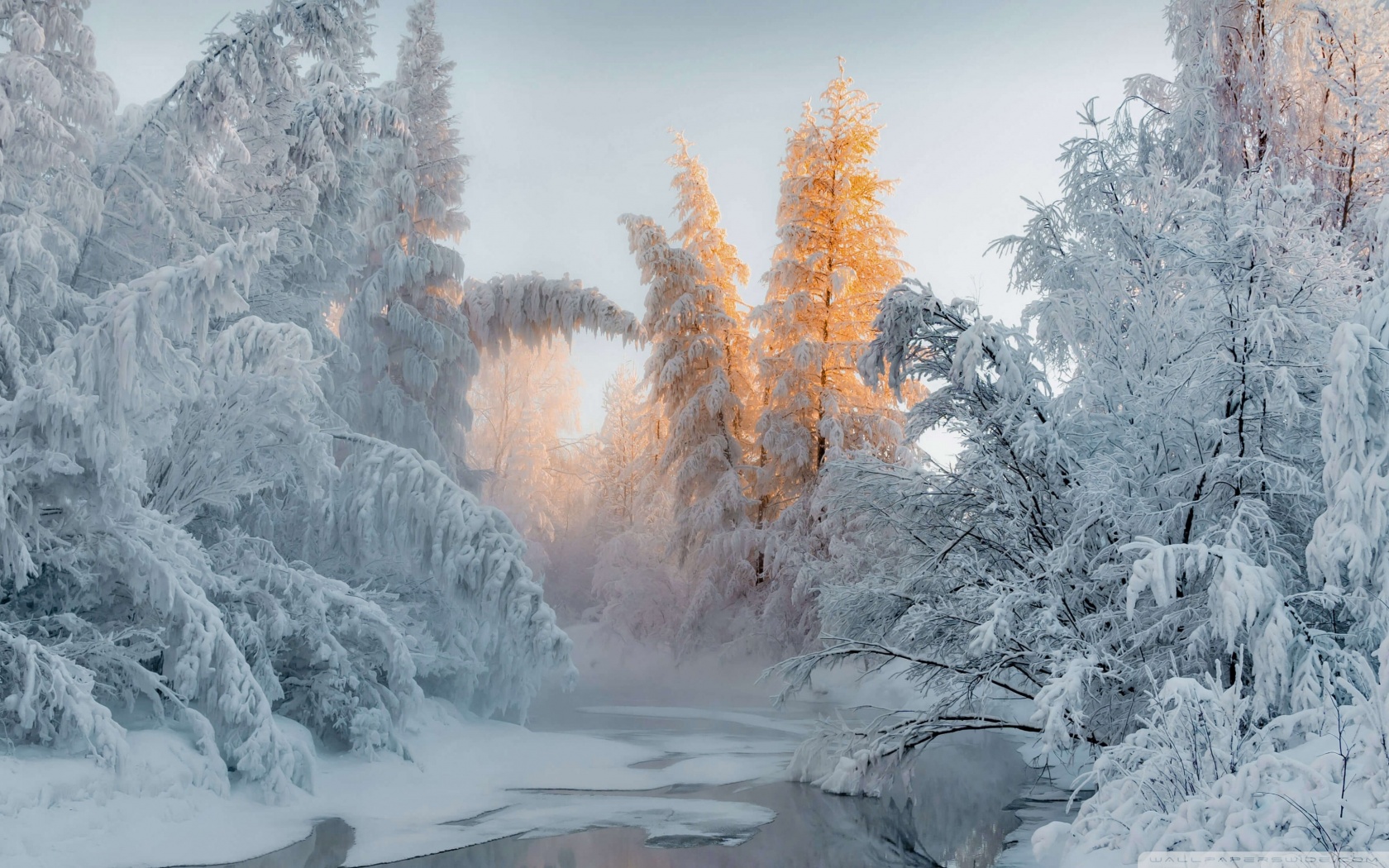 Winter Wonderland Ultra HD Desktop Background Wallpaper for 4K UHD TV, Widescreen & UltraWide Desktop & Laptop, Tablet