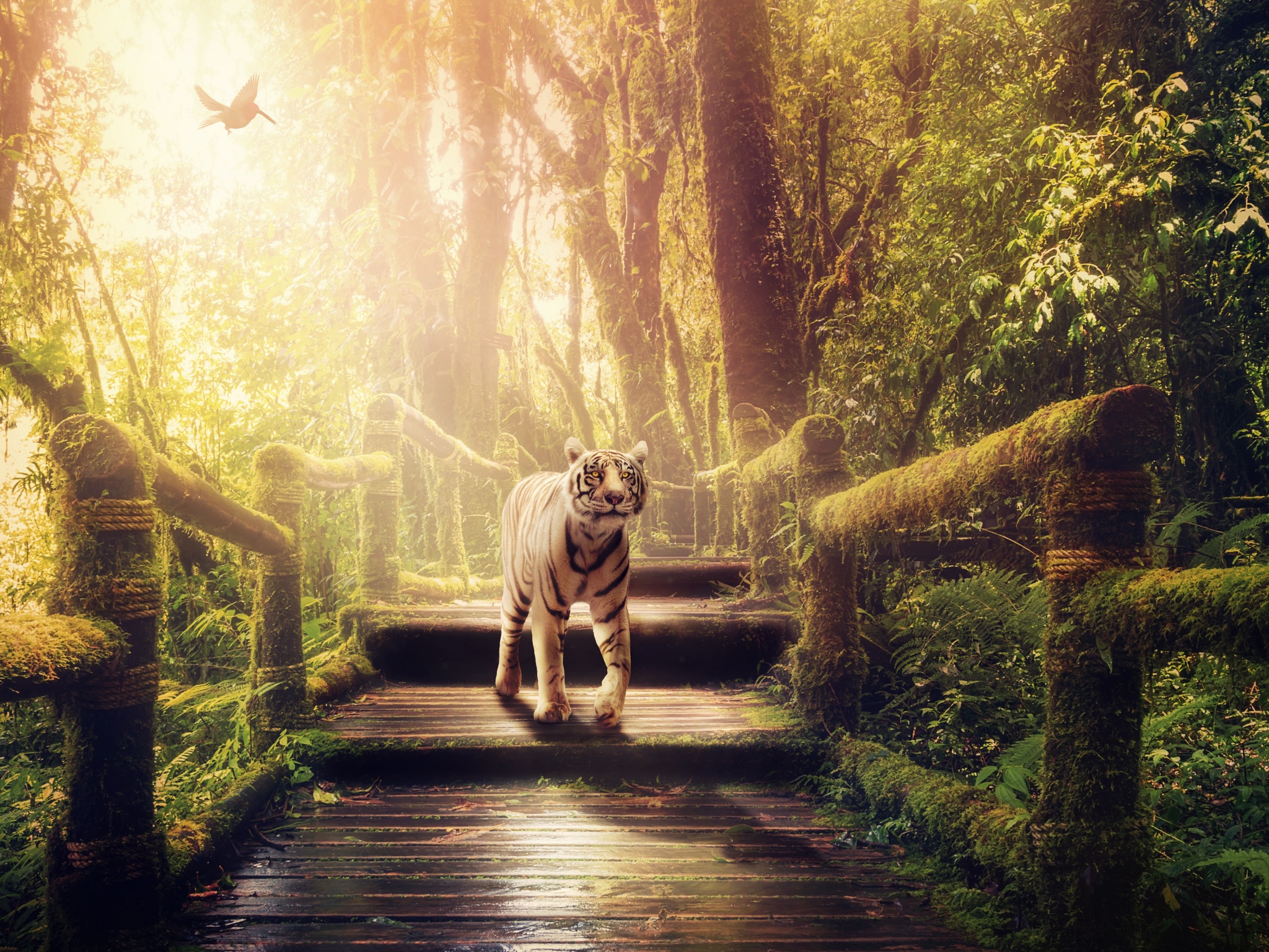 jungle wallpaper 4k latest