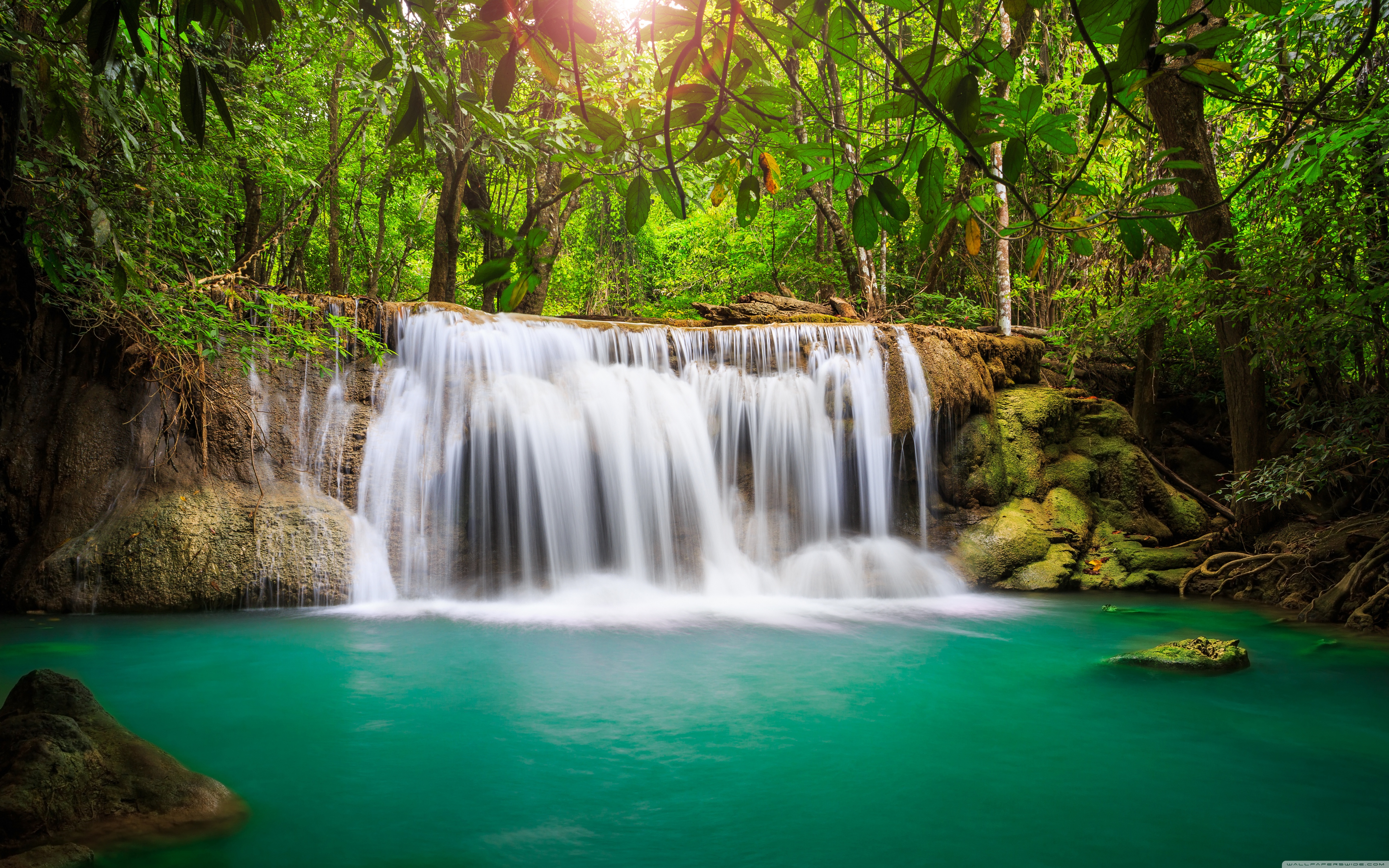 Rainforest Waterfall 4K UHD Wallpaper