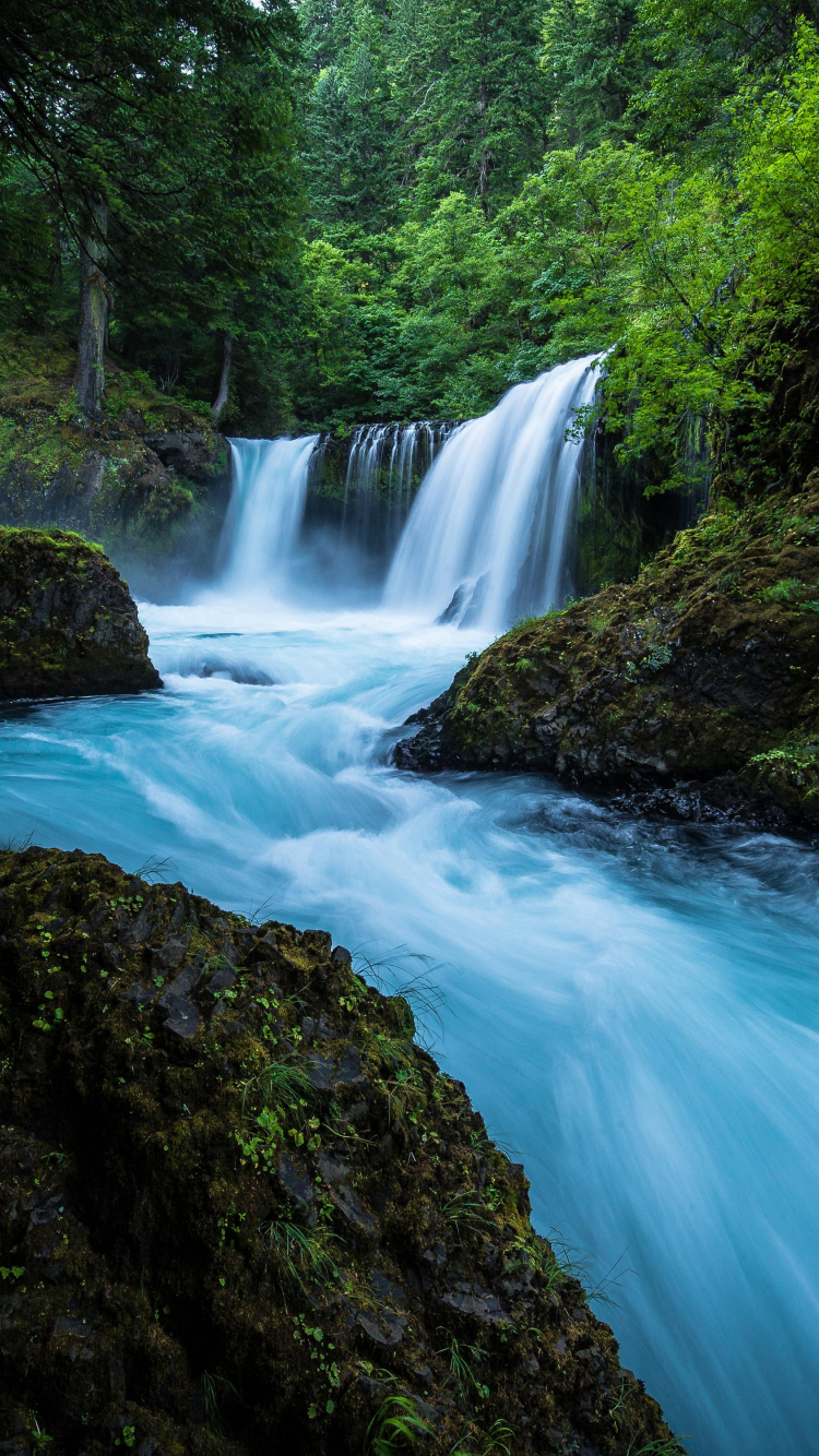 Download wallpaper 750x1334 forest, waterfall, river, nature, iphone 7, iphone 8, 750x1334 HD background, 648