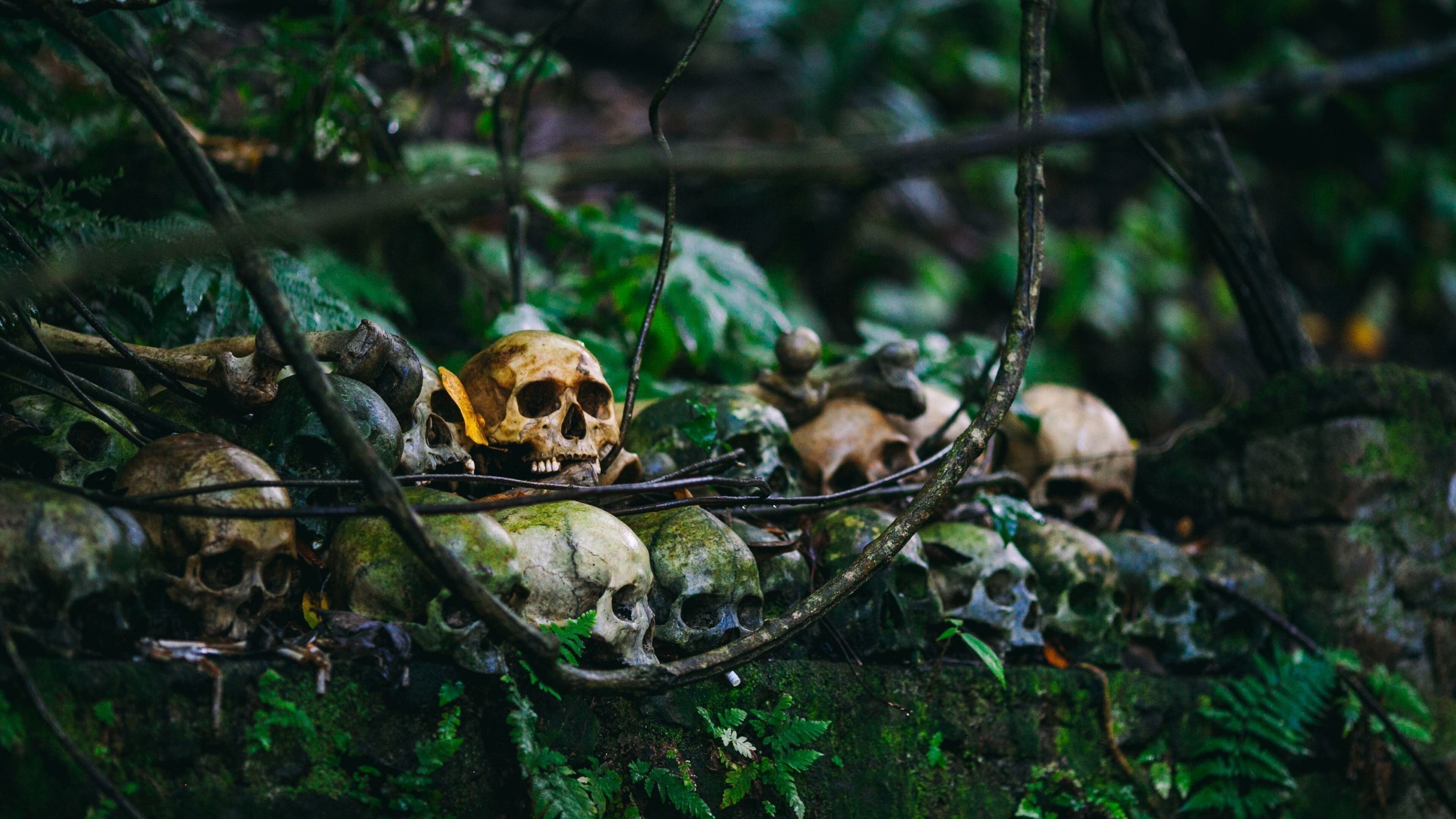 Horror Skull in Jungle 4K Wallpaper