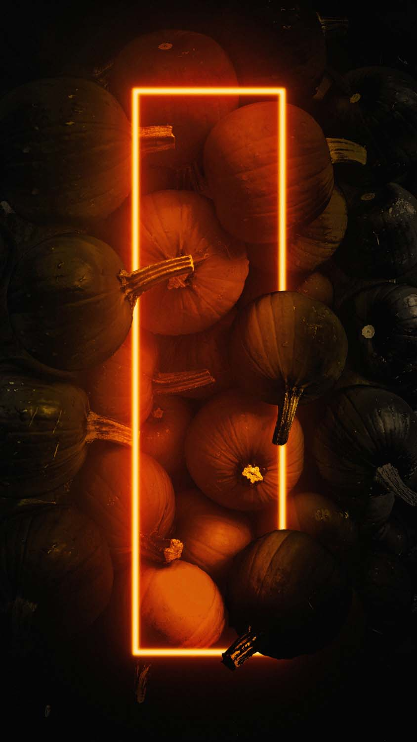 Pumpkin Neon Halloween IPhone Wallpaper HD IPhone Wallpaper Wallpaper Download