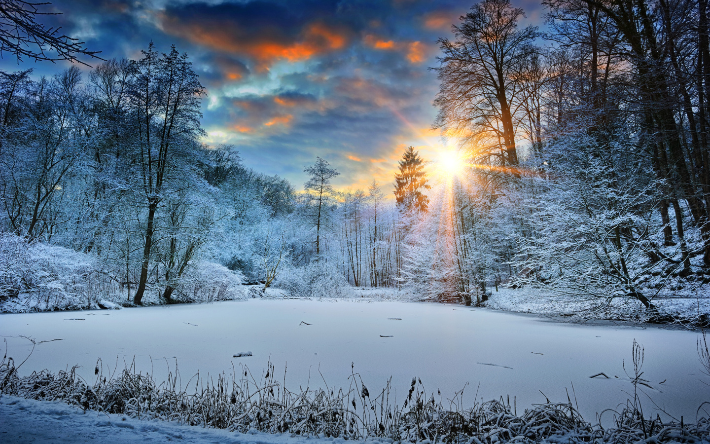 Sunbeams Landscape Snow In Winter Trees 4k 1440x900 Resolution HD 4k Wallpaper, Image, Background, Photo and Picture