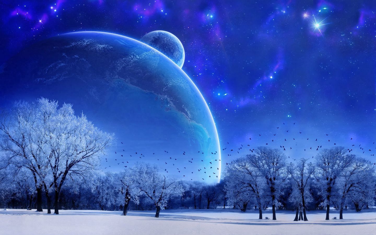 Download wallpaper 1440x900 nature, landscape, winter, sky, snow, full moon, trees, birds, evening widescreen 16:10 HD background