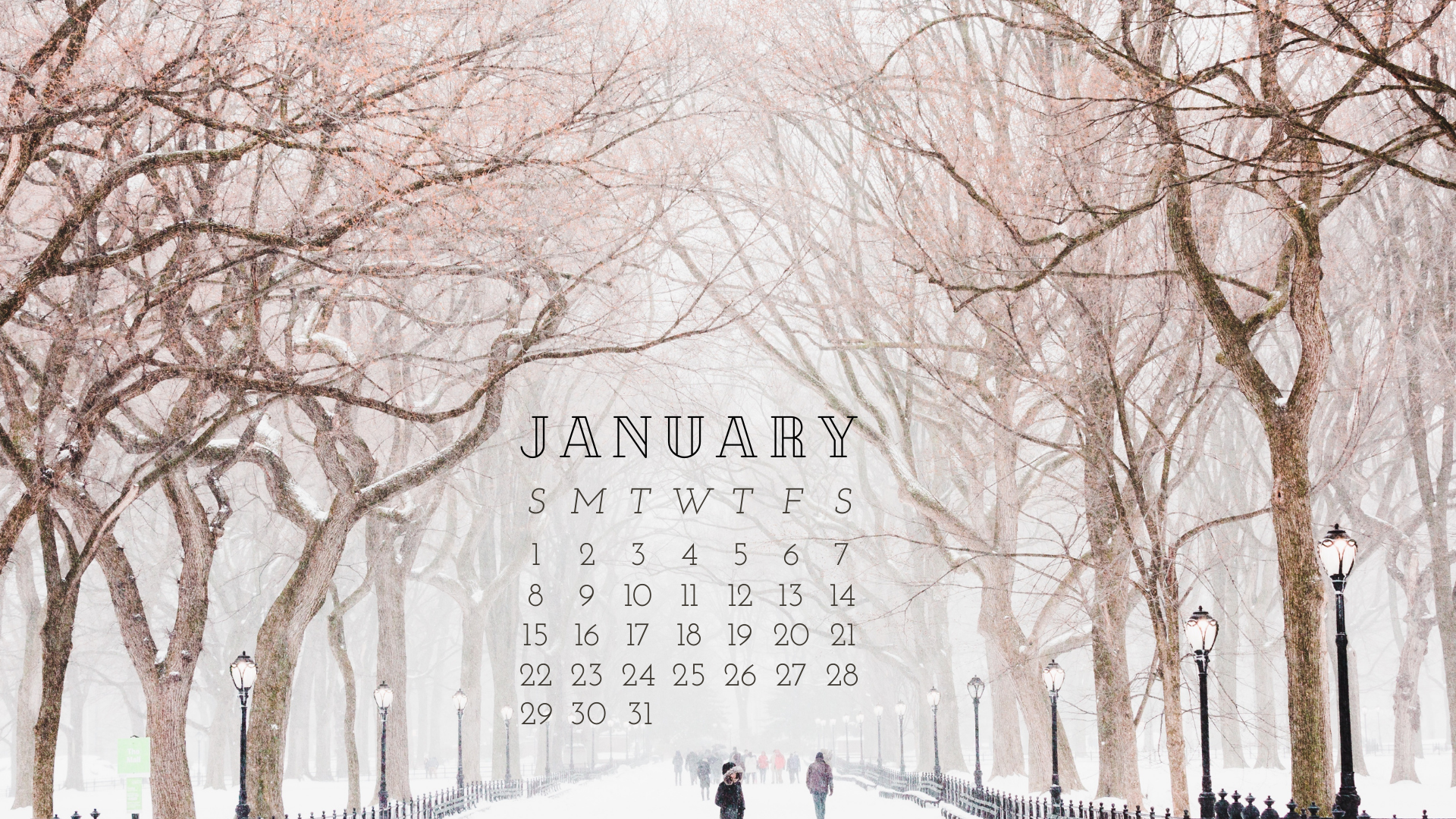 FREE JANUARY 2023 Desktop Calendar