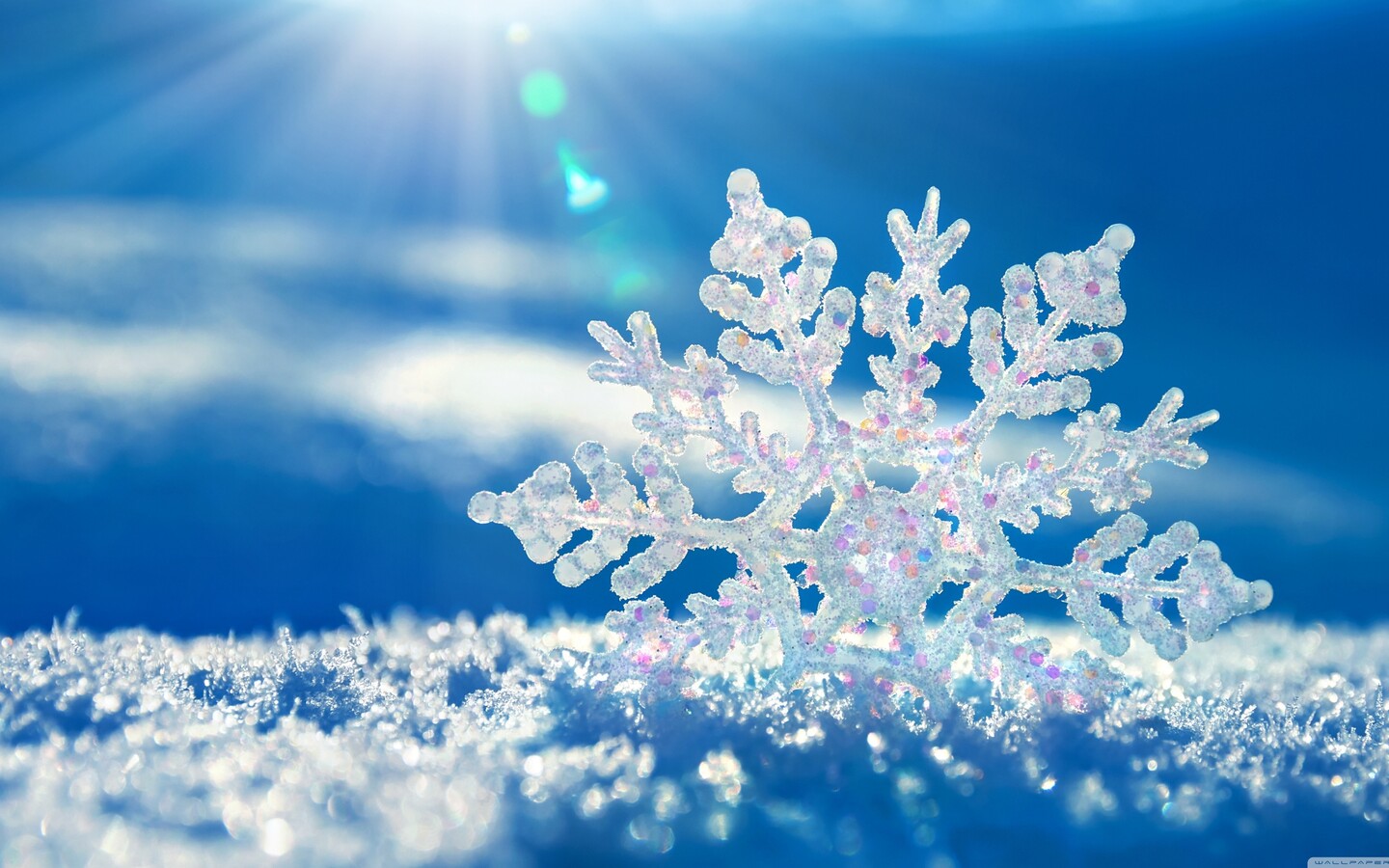 Snowflakes Background 1440x900 Resolution HD 4k Wallpaper, Image, Background, Photo and Picture