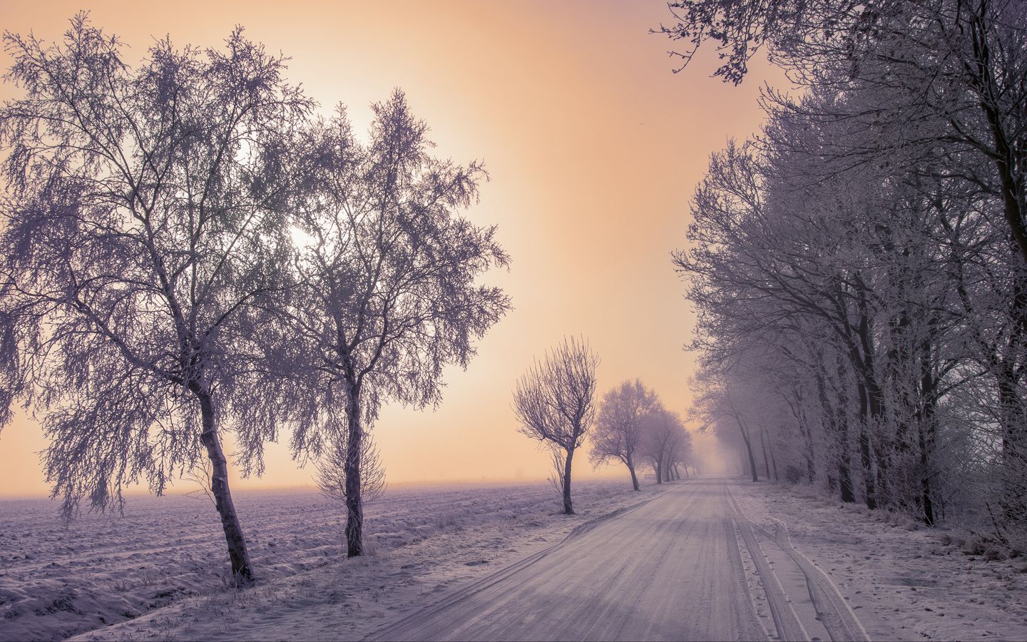 Download wallpaper 1440x900 winter, road, snow, trees, fog widescreen 16:10 HD background