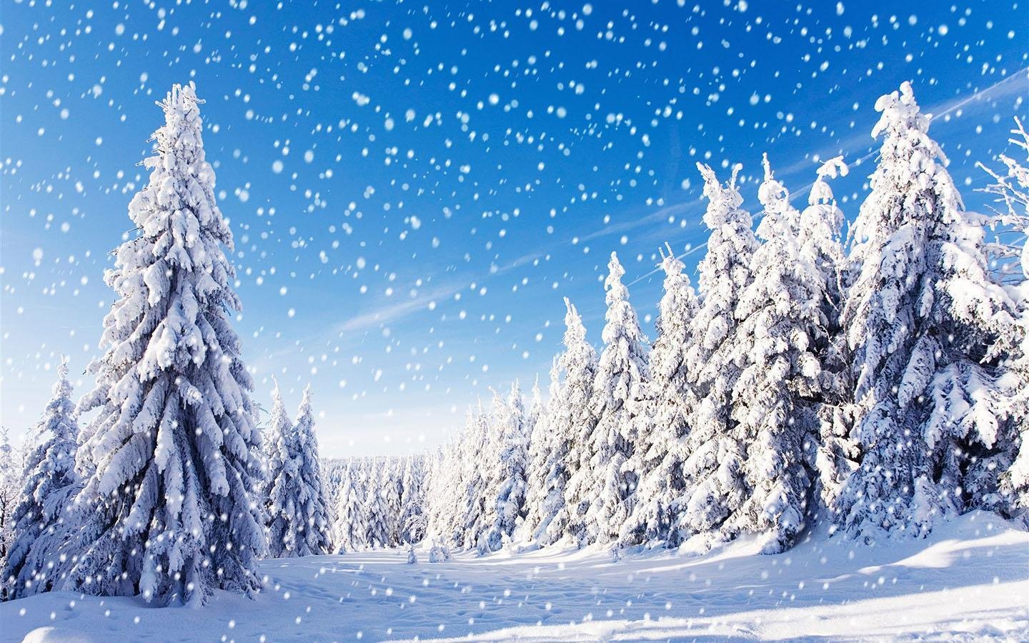 Snow Wallpaper 1440x900 67731