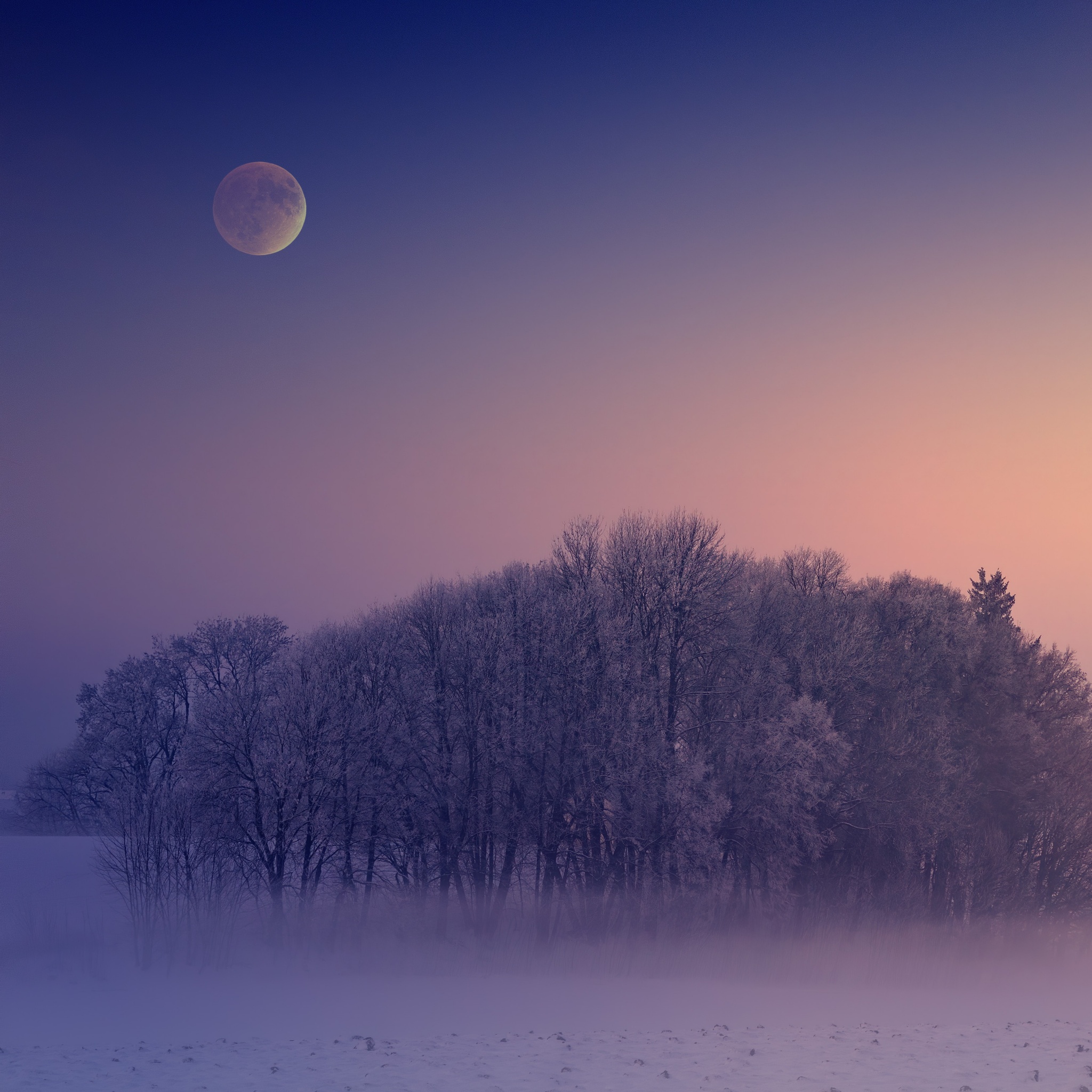 Winter Wallpaper 4K, Aesthetic, Morning, Foggy, Moon