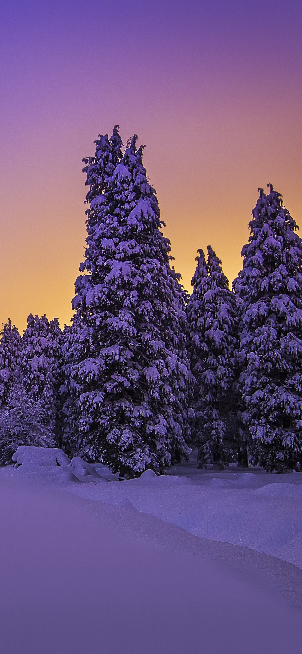 Landscape Wallpaper 4K, Purple sky, Snow covered