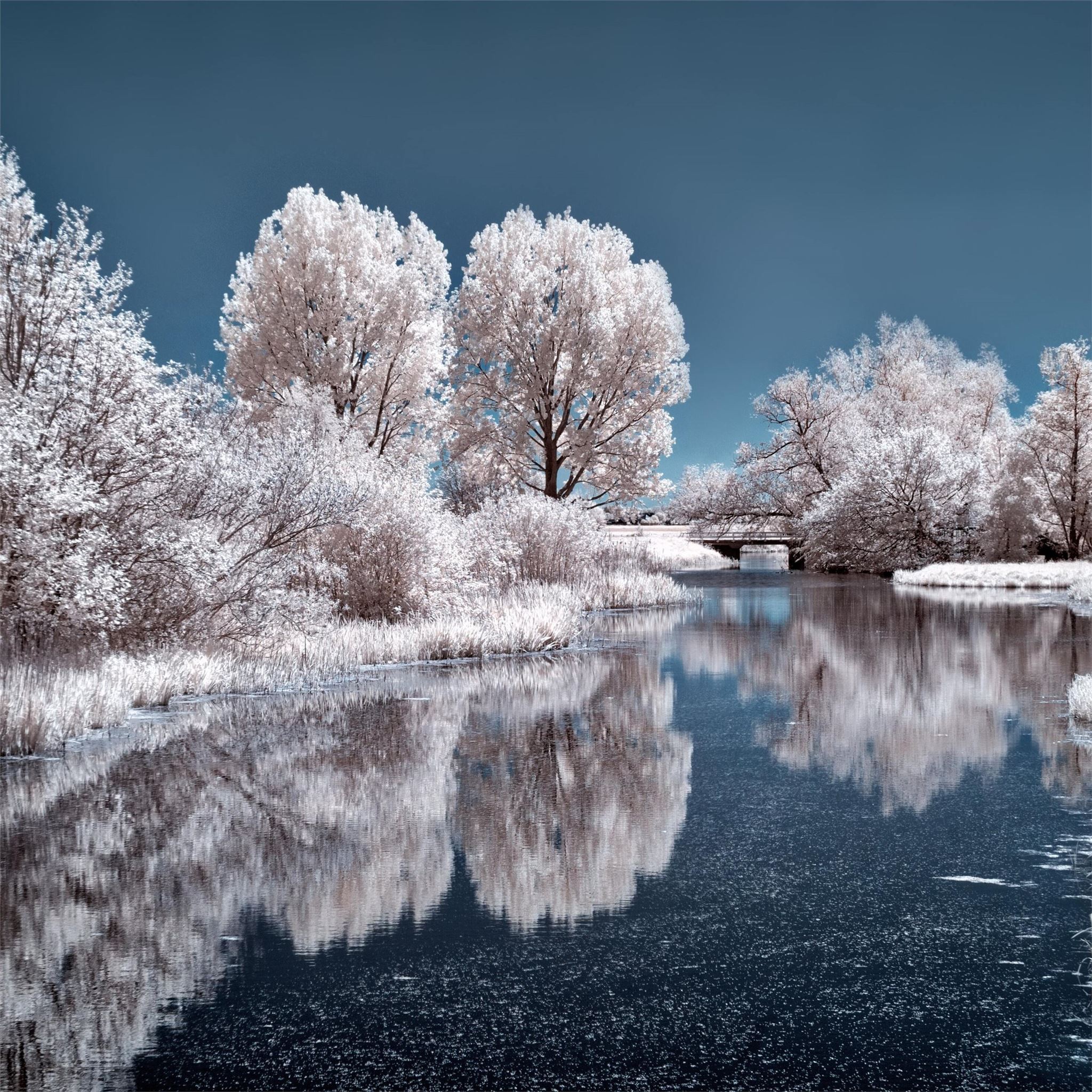 Latest Winter iPad Air HD Wallpaper