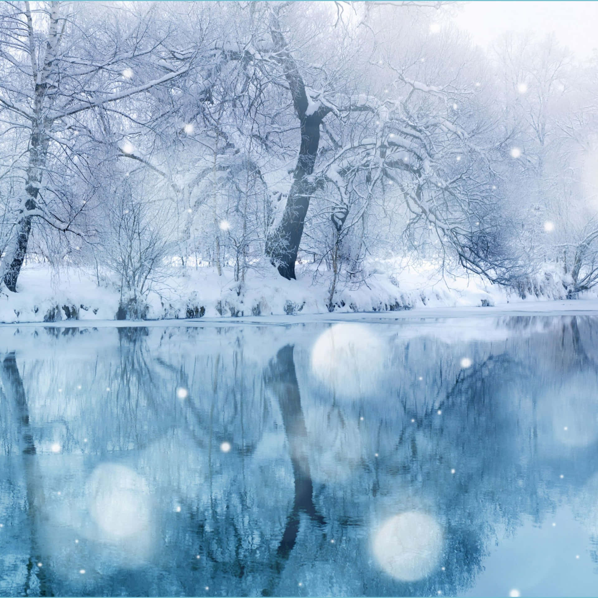 Download Embracing the Beauty of a Snowy Winter Wonderland Wallpaper