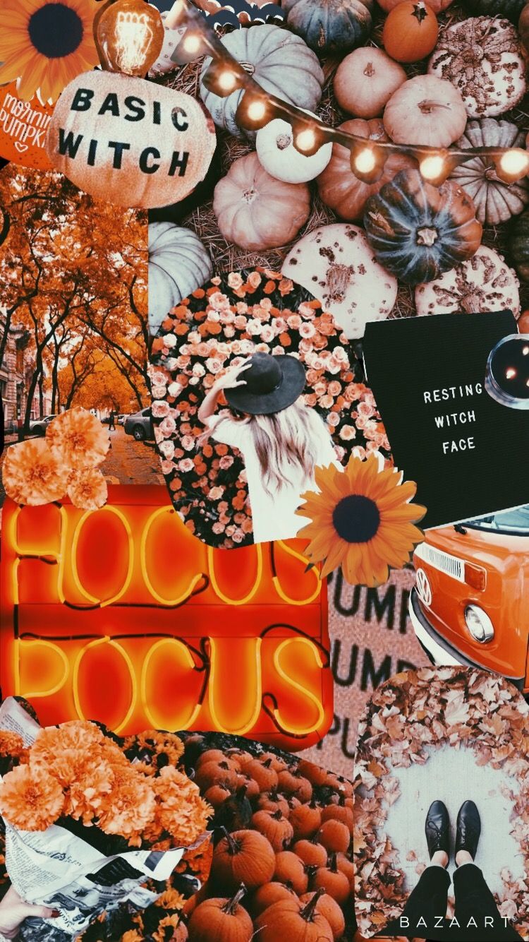 Autumn Collage Aesthetic Wallpaper, Basic Witch Hocus Pocus I Take You. Wedding Readings. Wedding Ideas