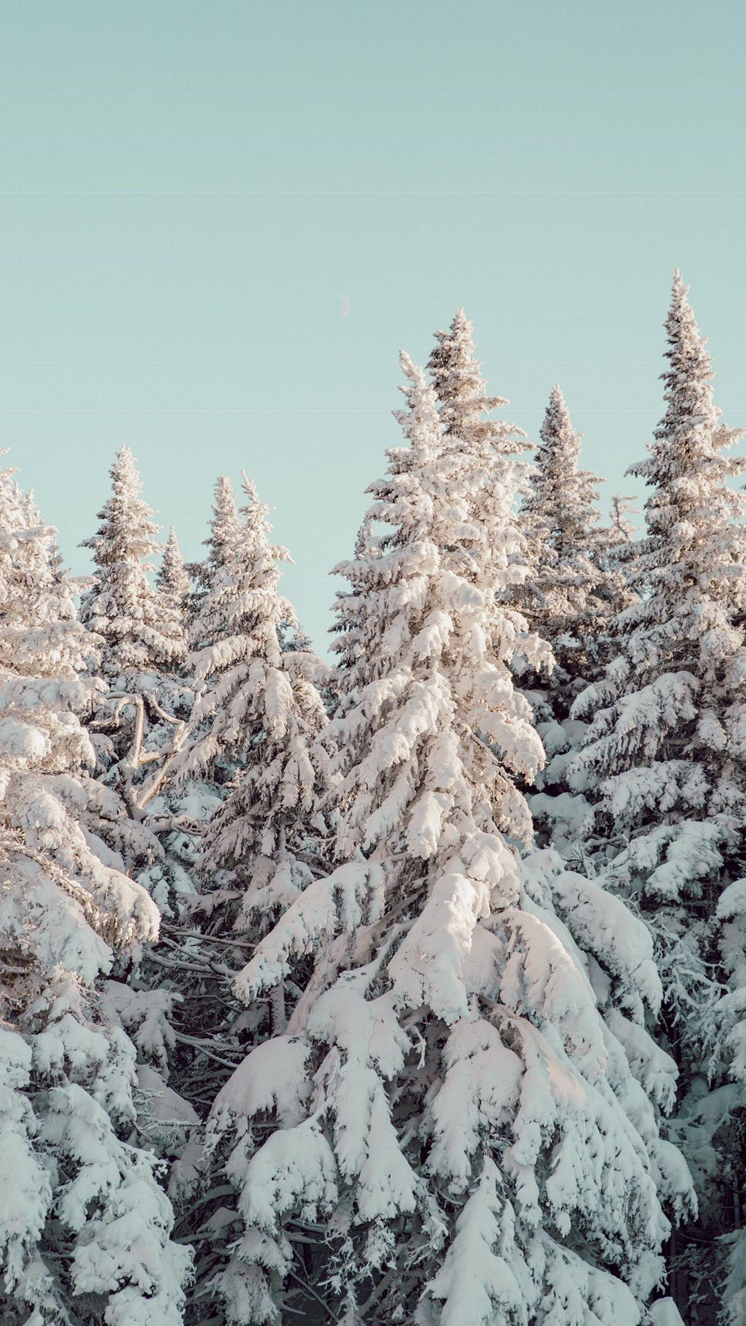 Winter Aesthetic Wallpaper for iPhoneD iPhone Wallpaper 2023