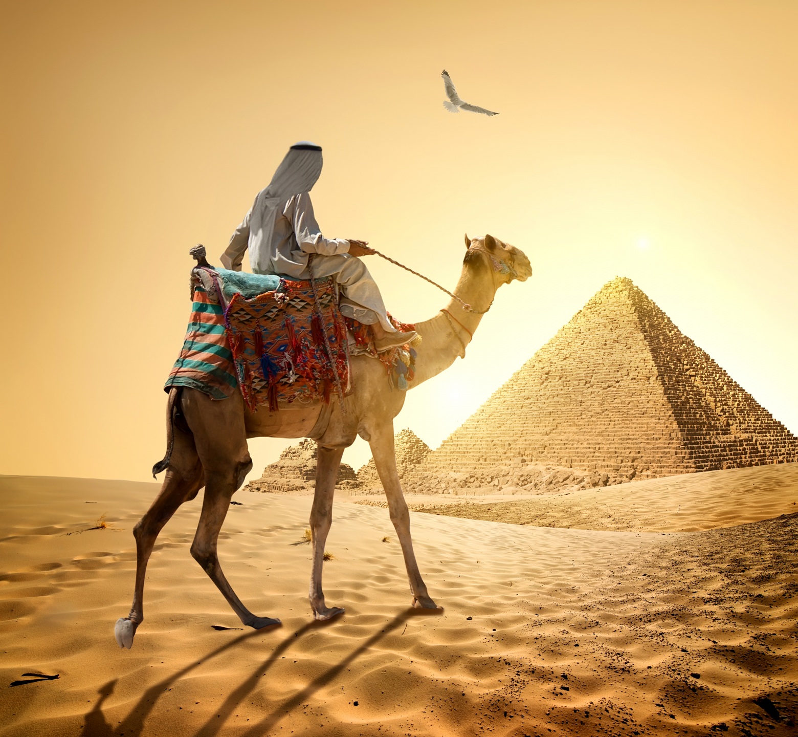Desktop Wallpaper Camels Egypt Men Cairo Desert Nature 1560x1440