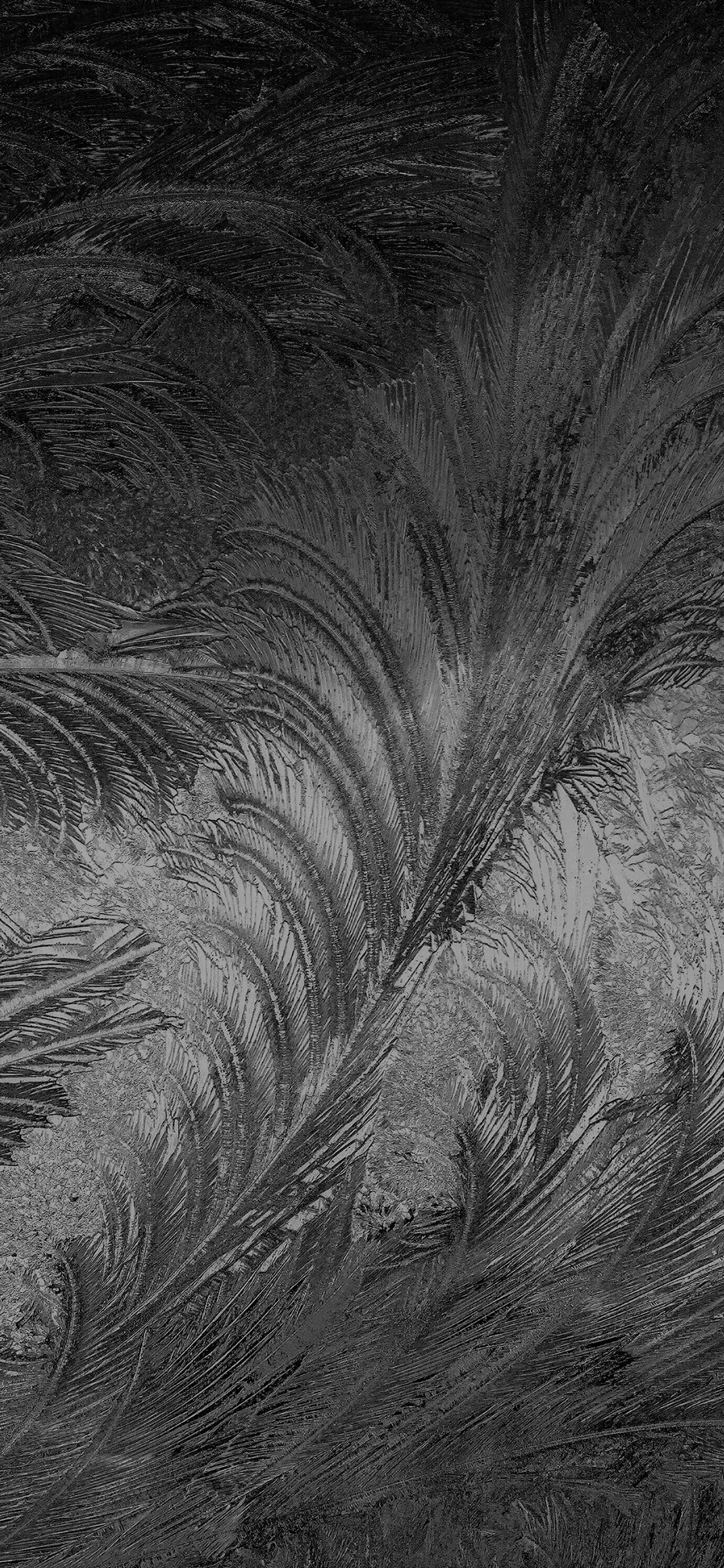 iPhone X wallpaper. winter snow window cold pattern dark bw