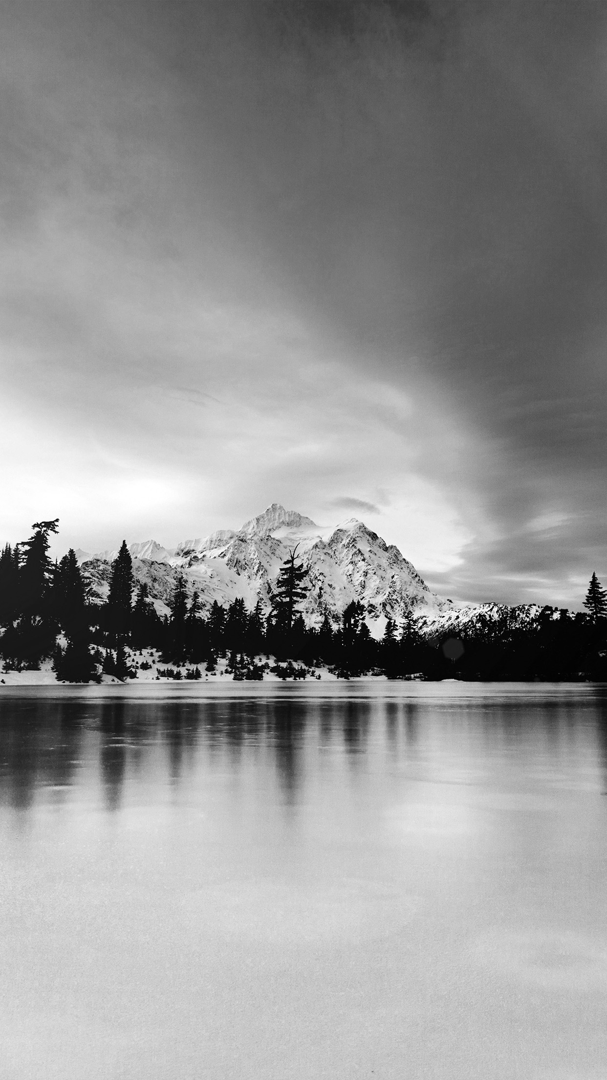 Frozen Lake Winter Snow Wood Forest Cold Bw Dark