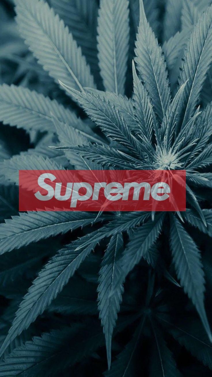 Supreme. Supreme iphone wallpaper, Supreme wallpaper, Pretty wallpaper background