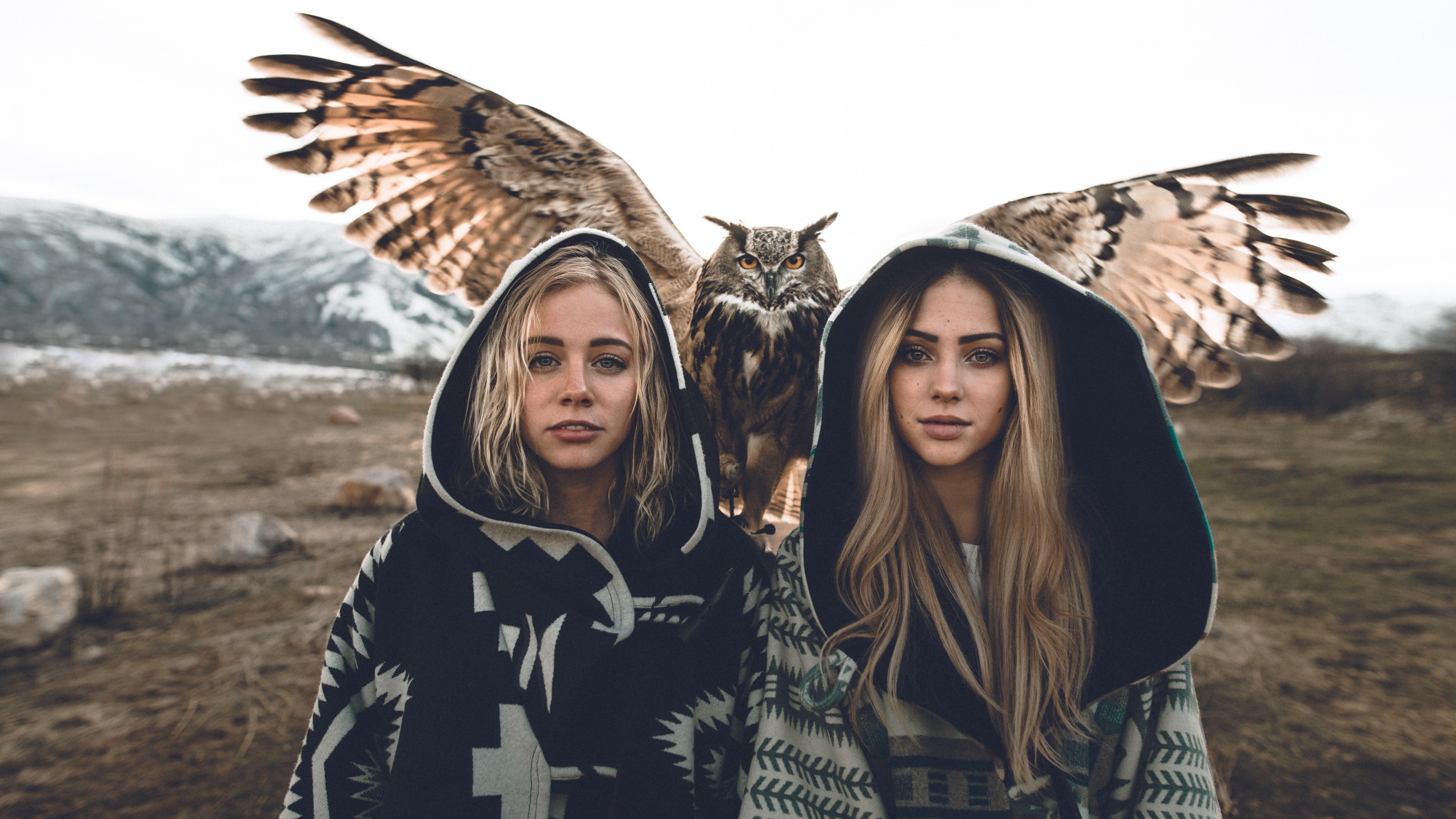 Wallpaper girls, owl, 8k, Animals Wallpaper Download Resolution 4K Wallpaper