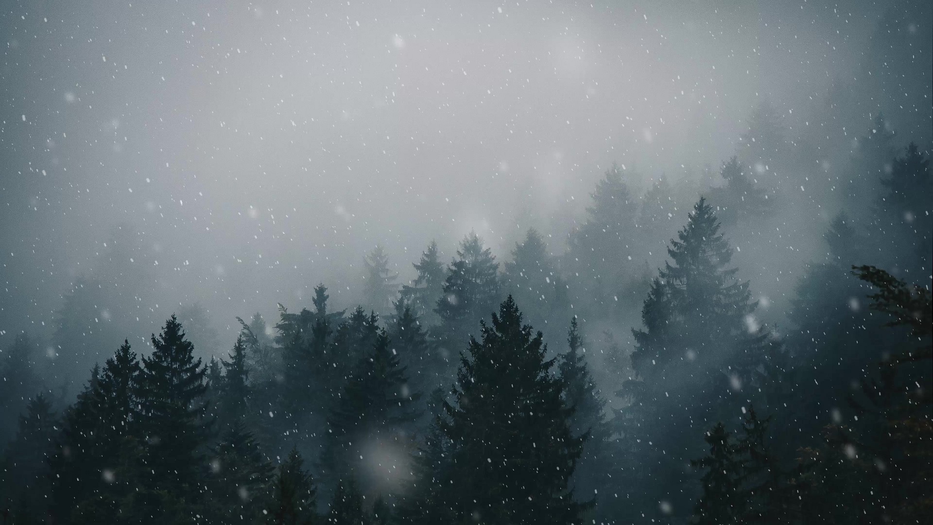 Winter Forest Snow Live Wallpaper