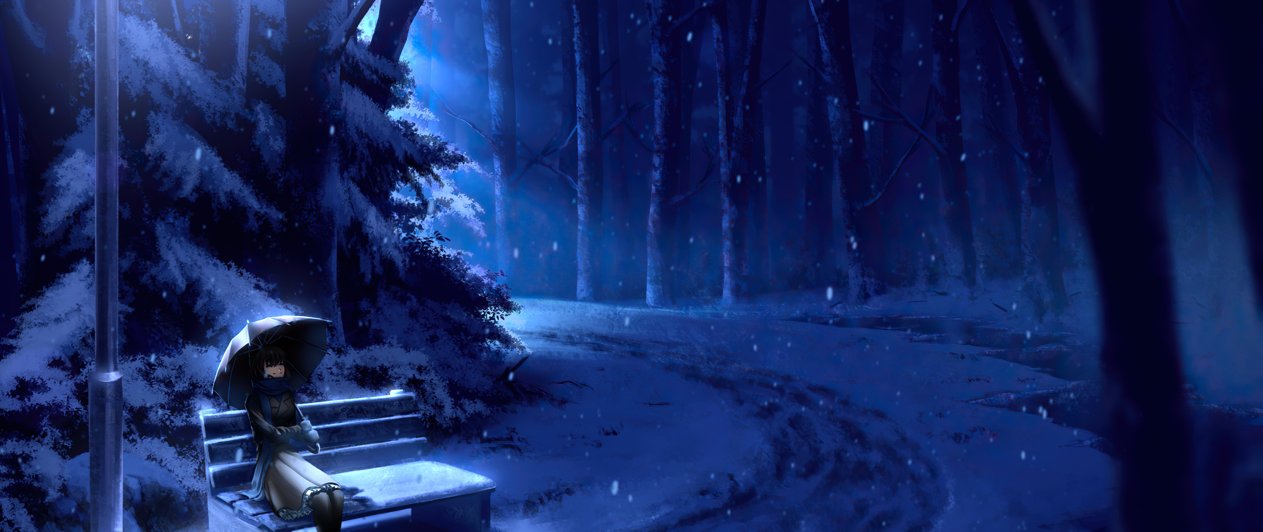Winter Stillness 4k 2560x1080 Resolution HD 4k Wallpaper, Image, Background, Photo and Picture