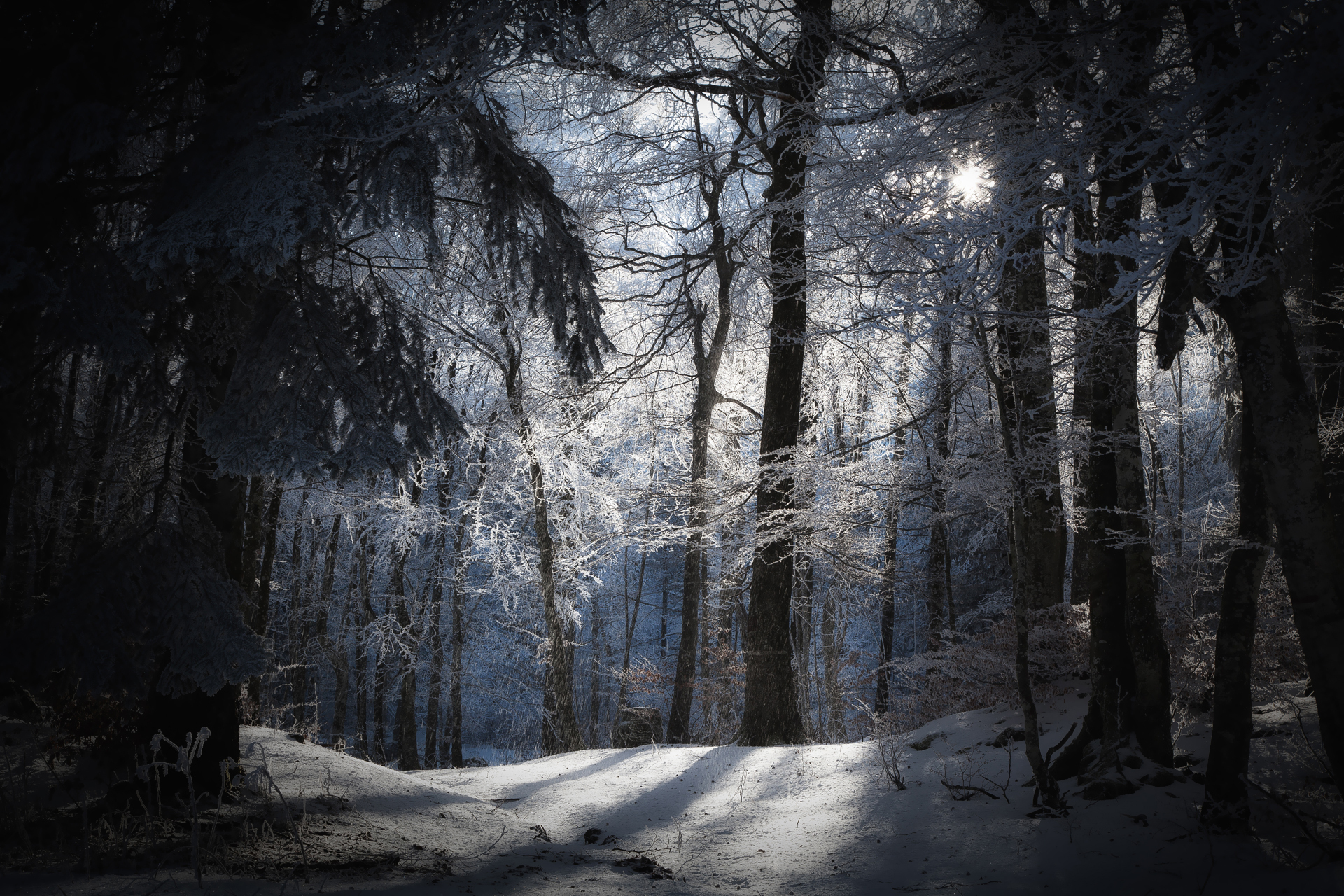 Nature Winter HD Wallpaper