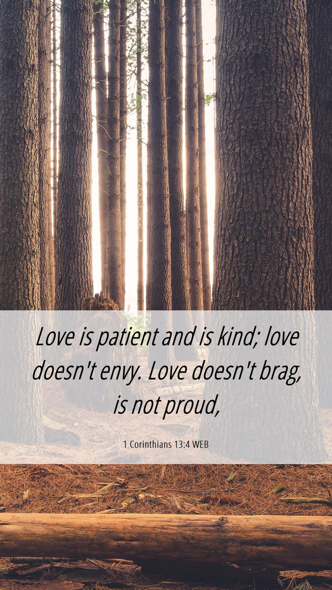 Download Love Is Patient And Kind Wallpaper