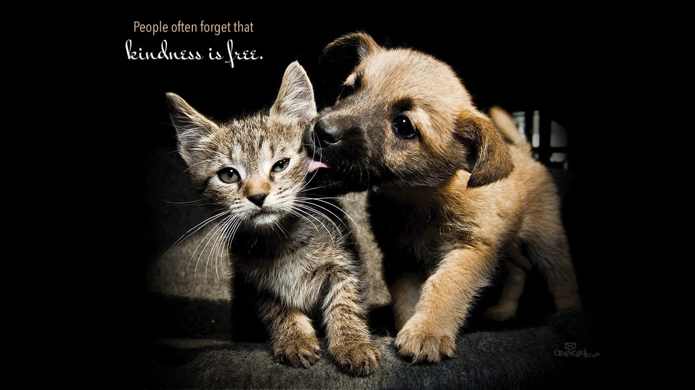 Kindness is Free Desktop Wallpaper