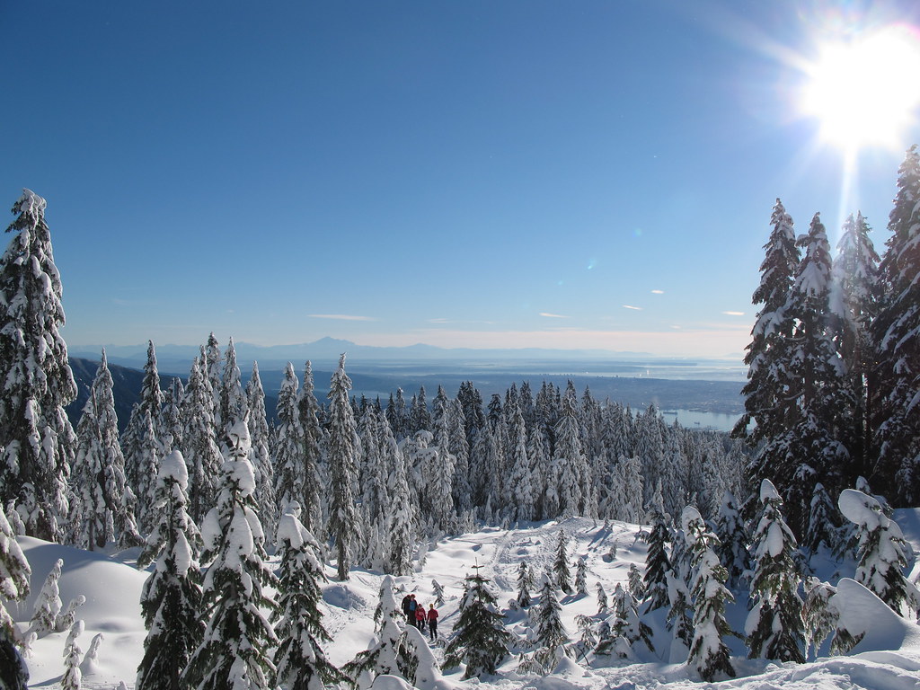 Crisp View of Vancouver. The cold weather really makes