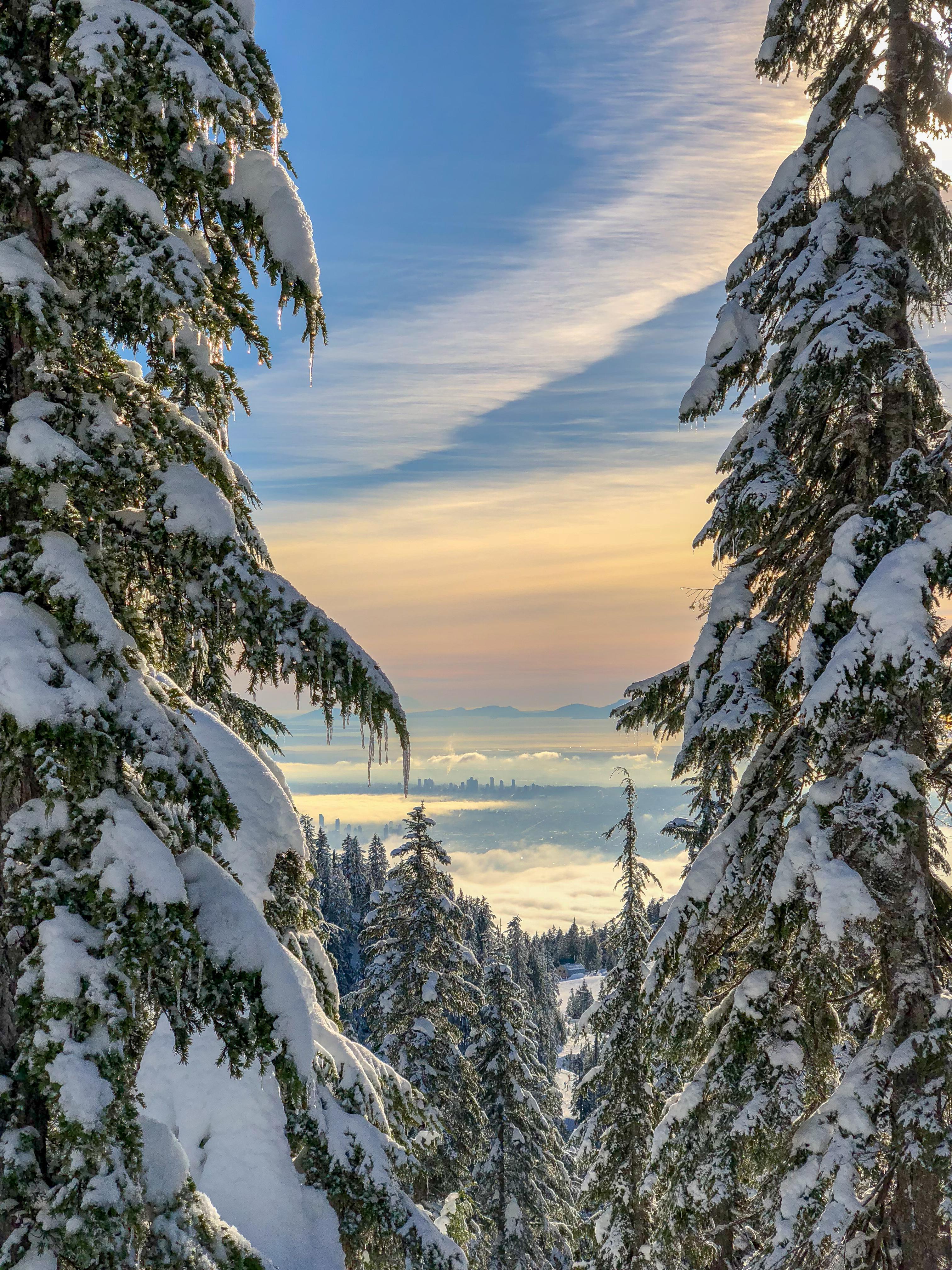 Vancouver from Grouse Mountain