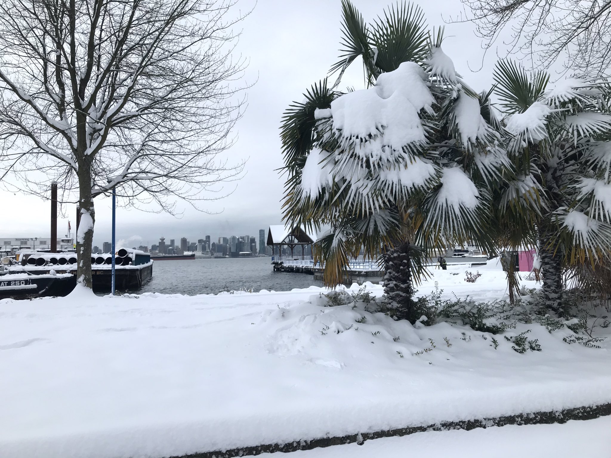 North Vancouver becomes a winter wonderland (PHOTOS) Shore News