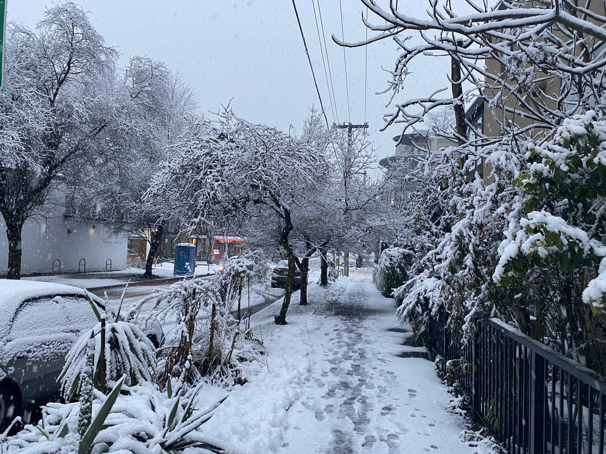 Vancouver weather: Locals wake up to heavy February snowfall Is Awesome