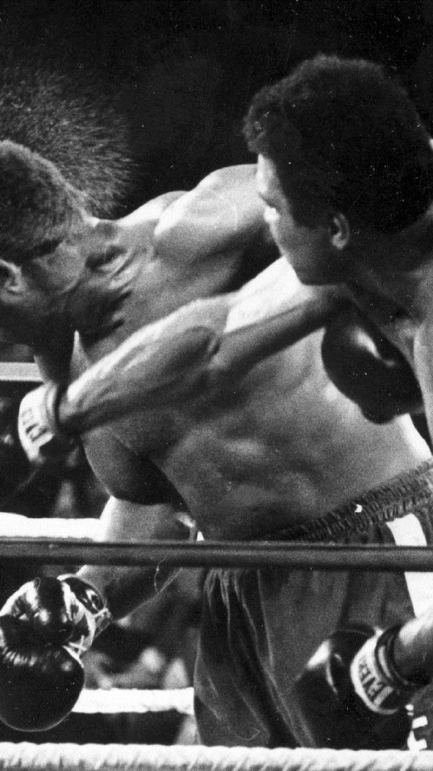 A Fight By Fight Look At Muhammad Ali's Career Milestones