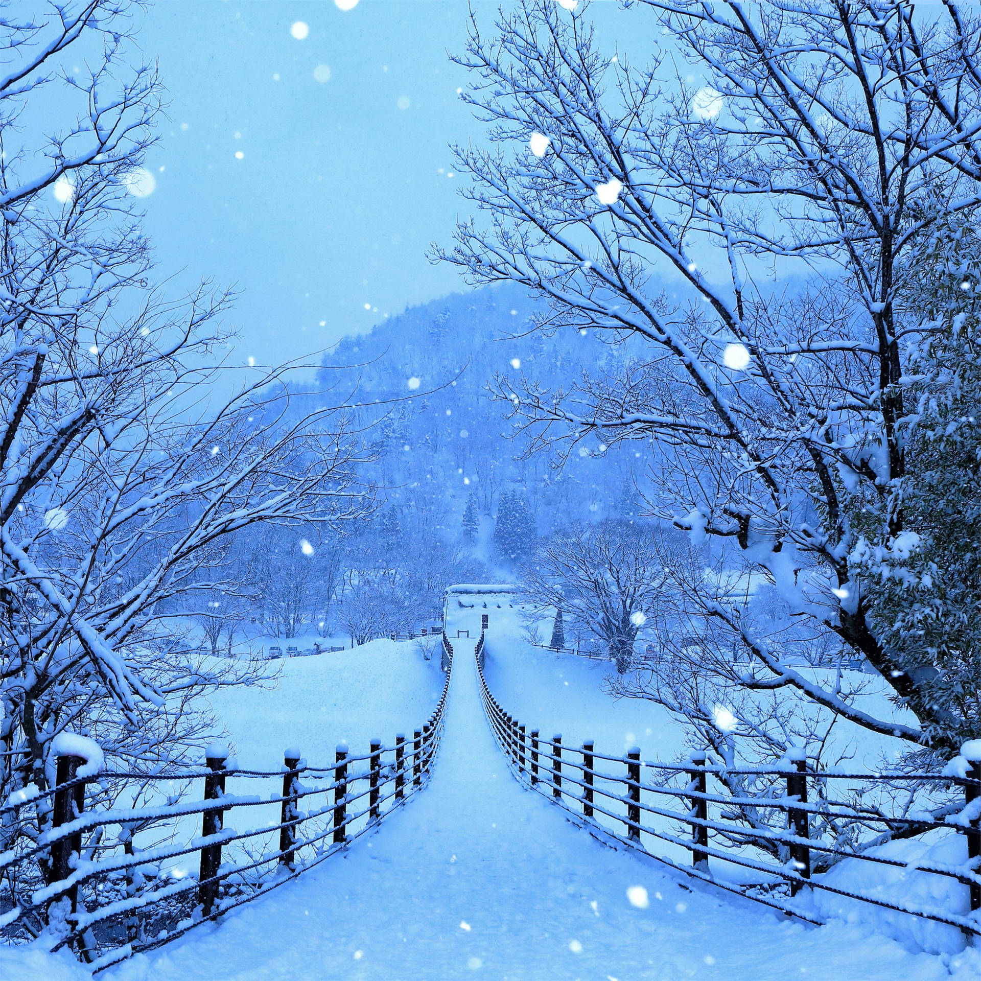 Download 4k iPad Snow Pathway Wallpaper
