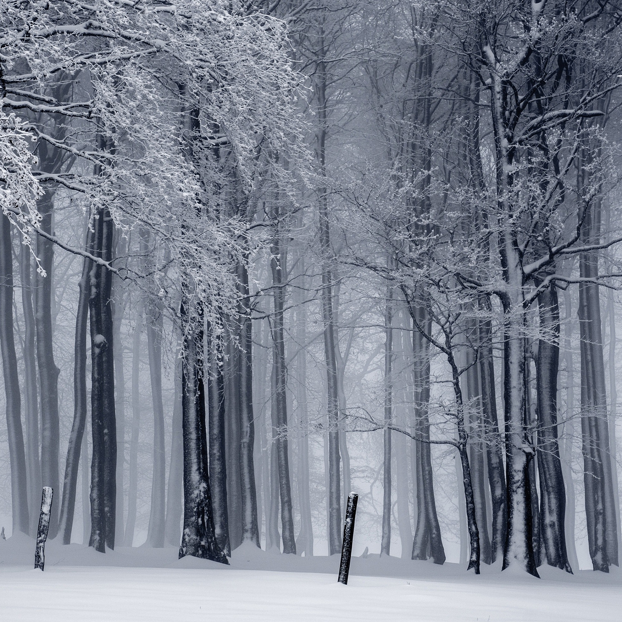 4K Winter Wallpaper for Desktop, iPad & iPhone