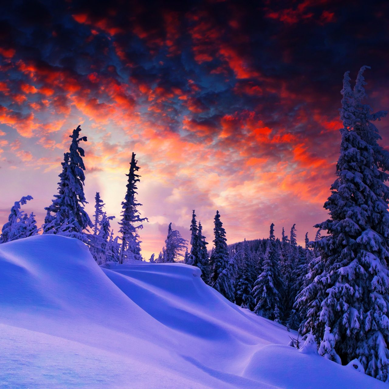 Blue Red Sky Trees Snow Winter 4K Wallpaper