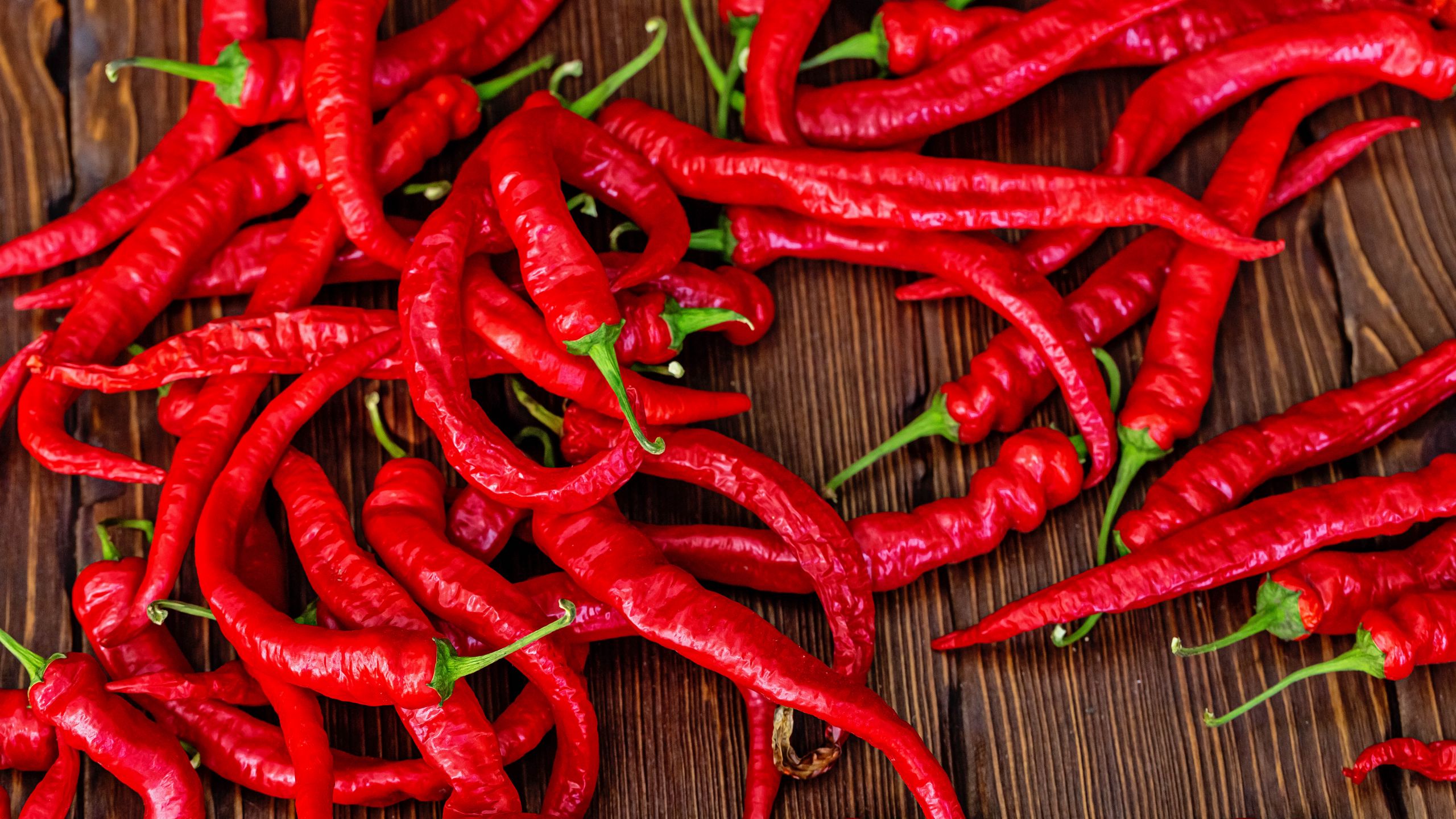 Download wallpaper 2560x1440 chili pepper, pepper, red, hot widescreen 16:9 HD background
