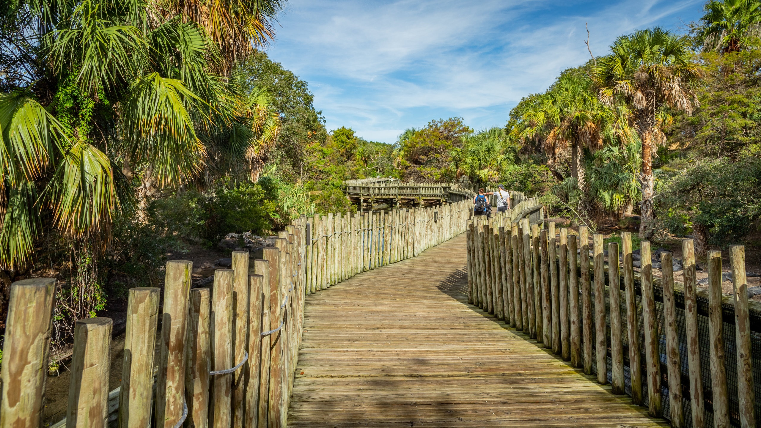 Visit St. Augustine: 2023 Travel Guide for St. Augustine, Florida