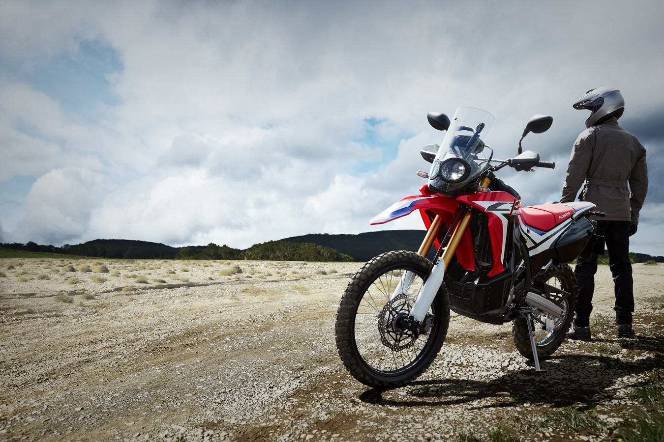 HONDA CRF250 RALLY