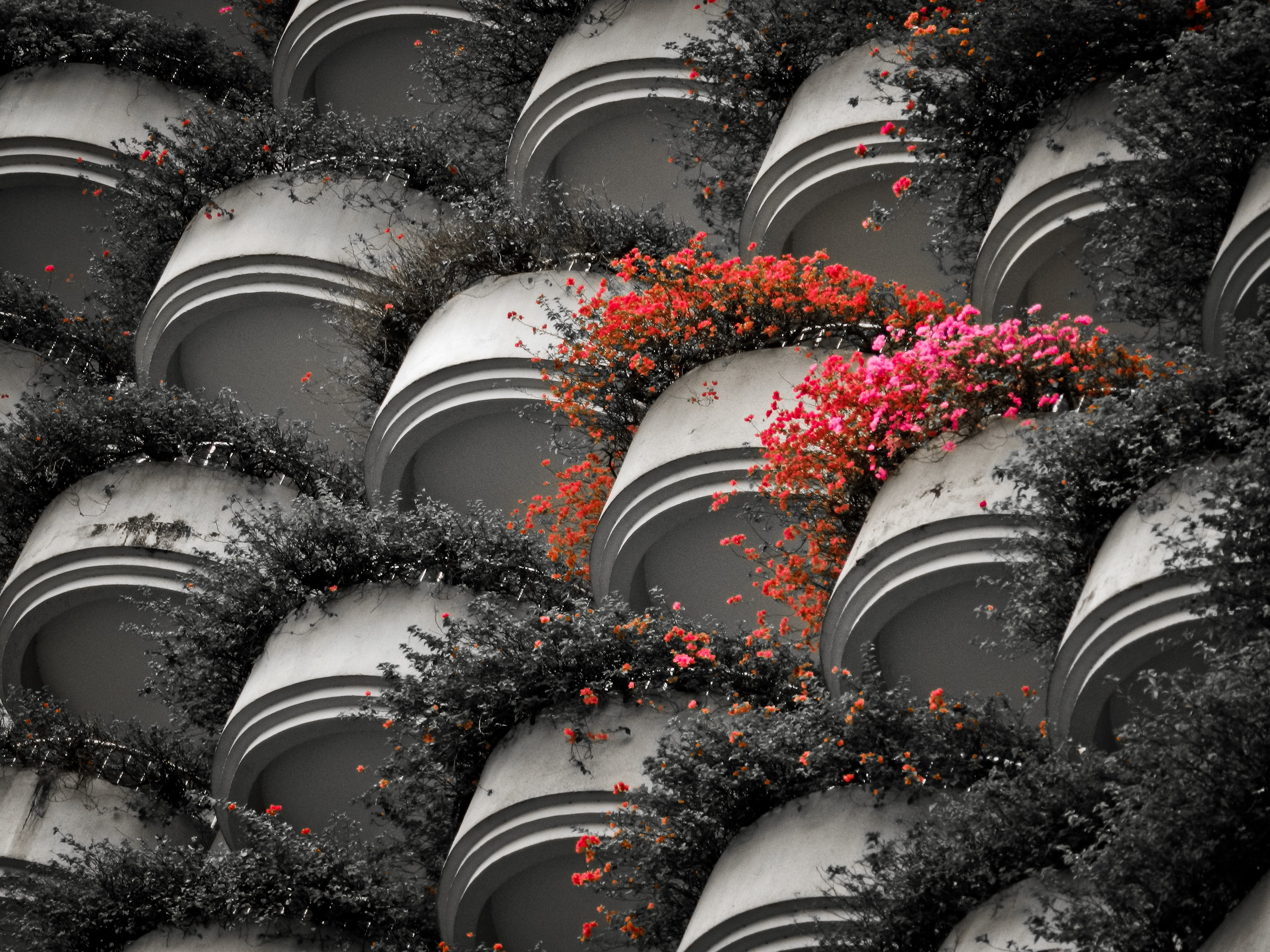 Free Image, tree, white, flower, building, geometric, black, pink, symmetry, computer wallpaper, fractal art, high tower, red abstract 3467x2600