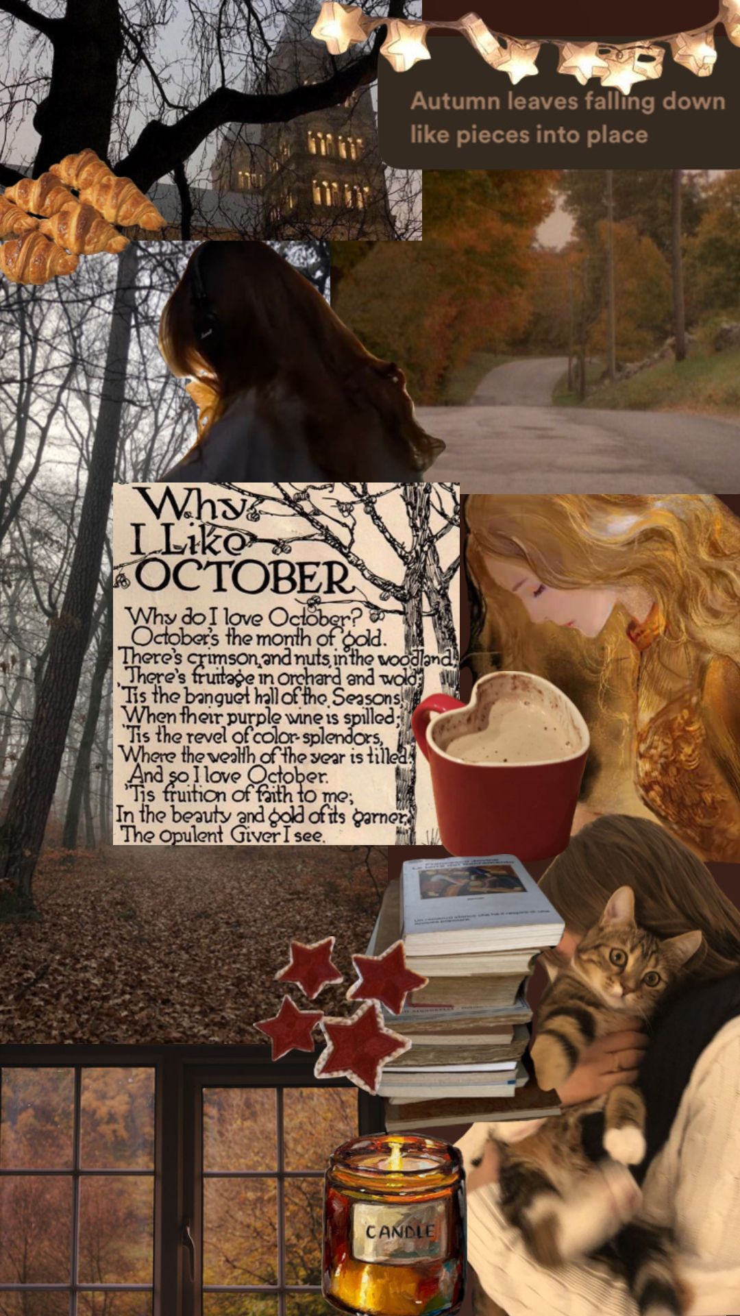 fall #autumn #autumnaesthetic #fallaesthetic #october #halloween #brown #moodboard #fyp #aesthetic #aes. Autumn aesthetic, Autumn inspiration, Autumn photography