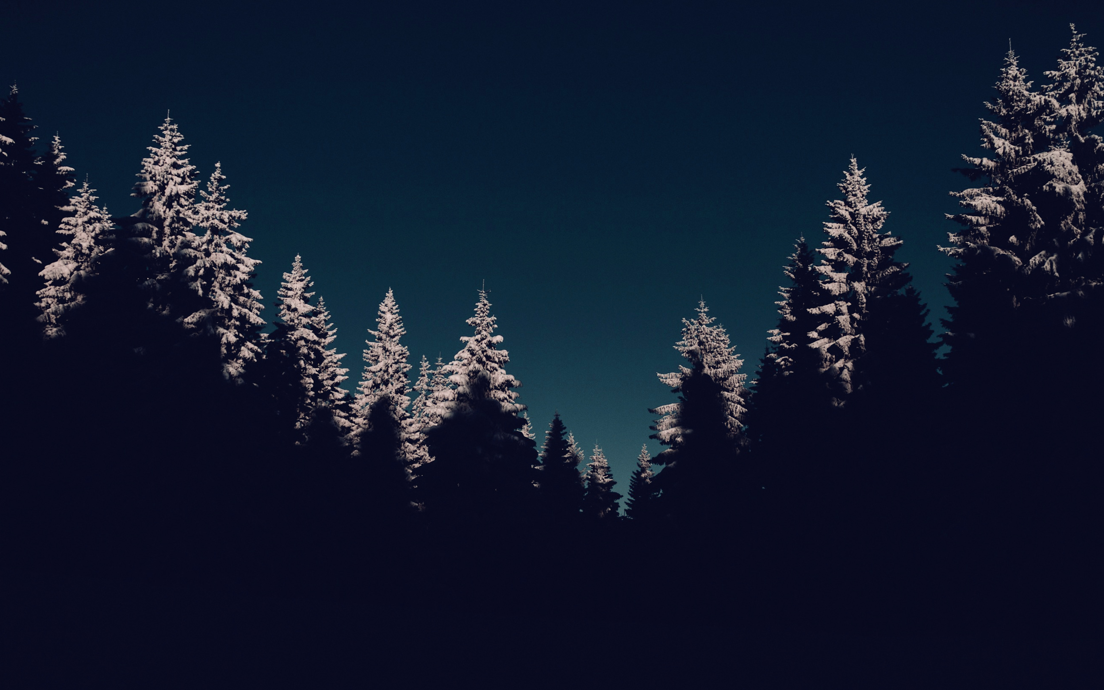 wallpaper for desktop, laptop. nl44