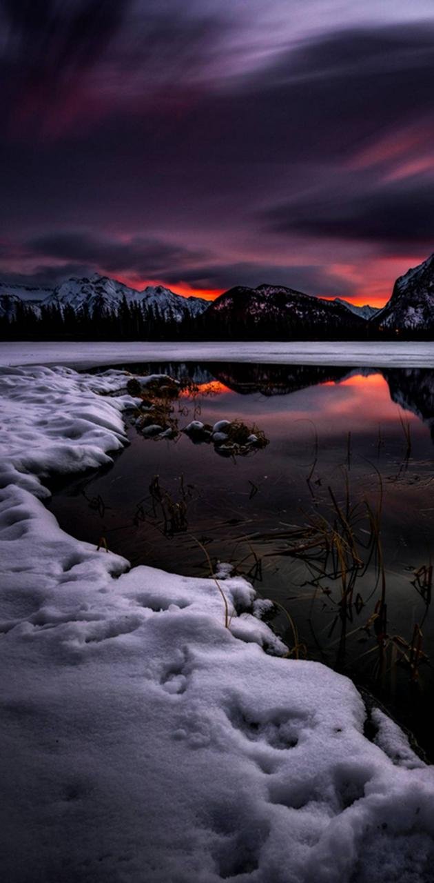 Winter night Wallpaper Download