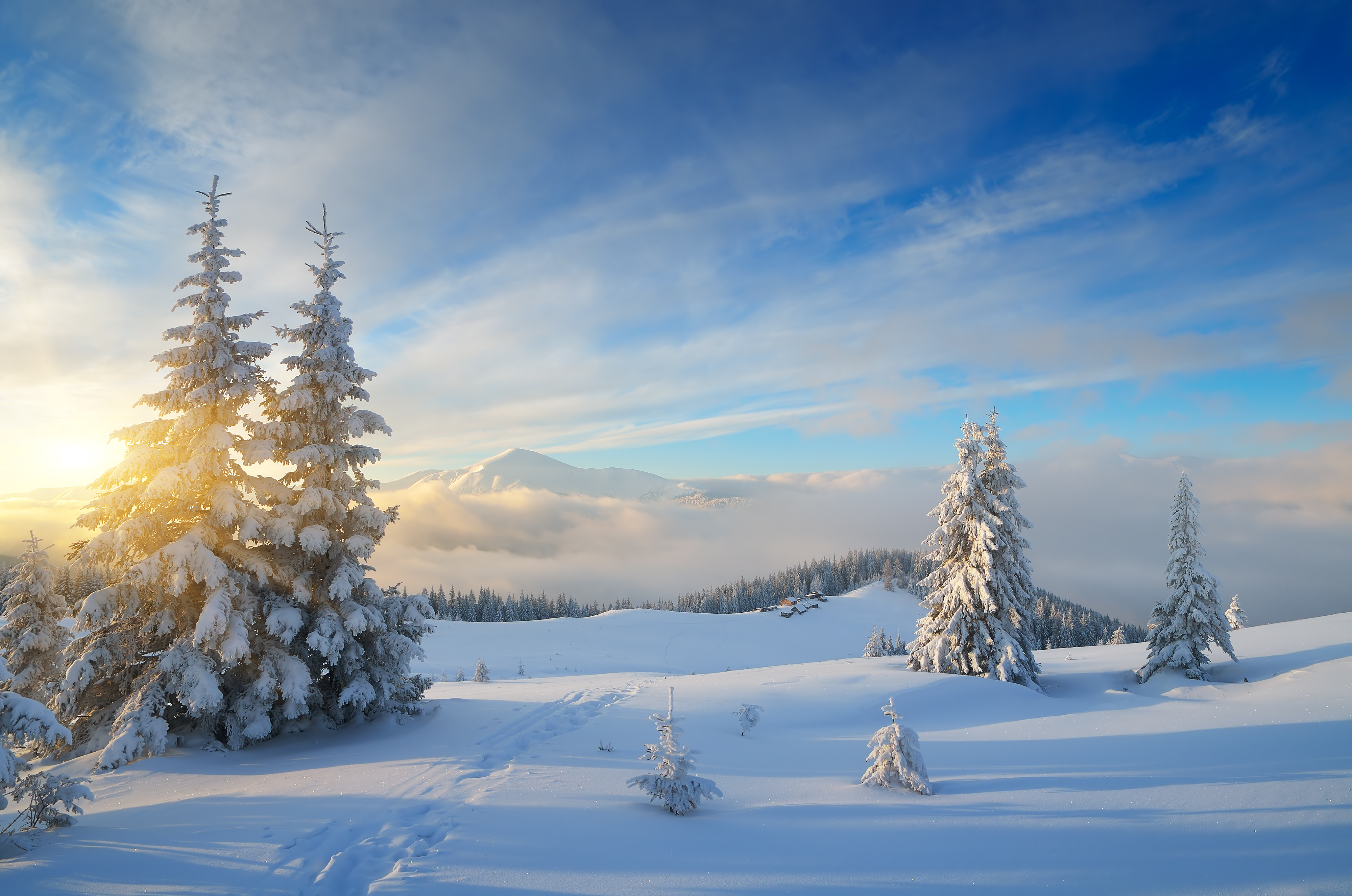 Nature Winter 4k Ultra HD Wallpaper