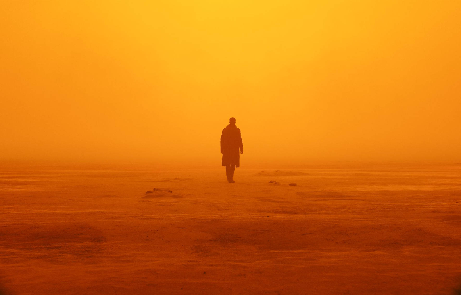 Blade Runner 2049 Wallpaper